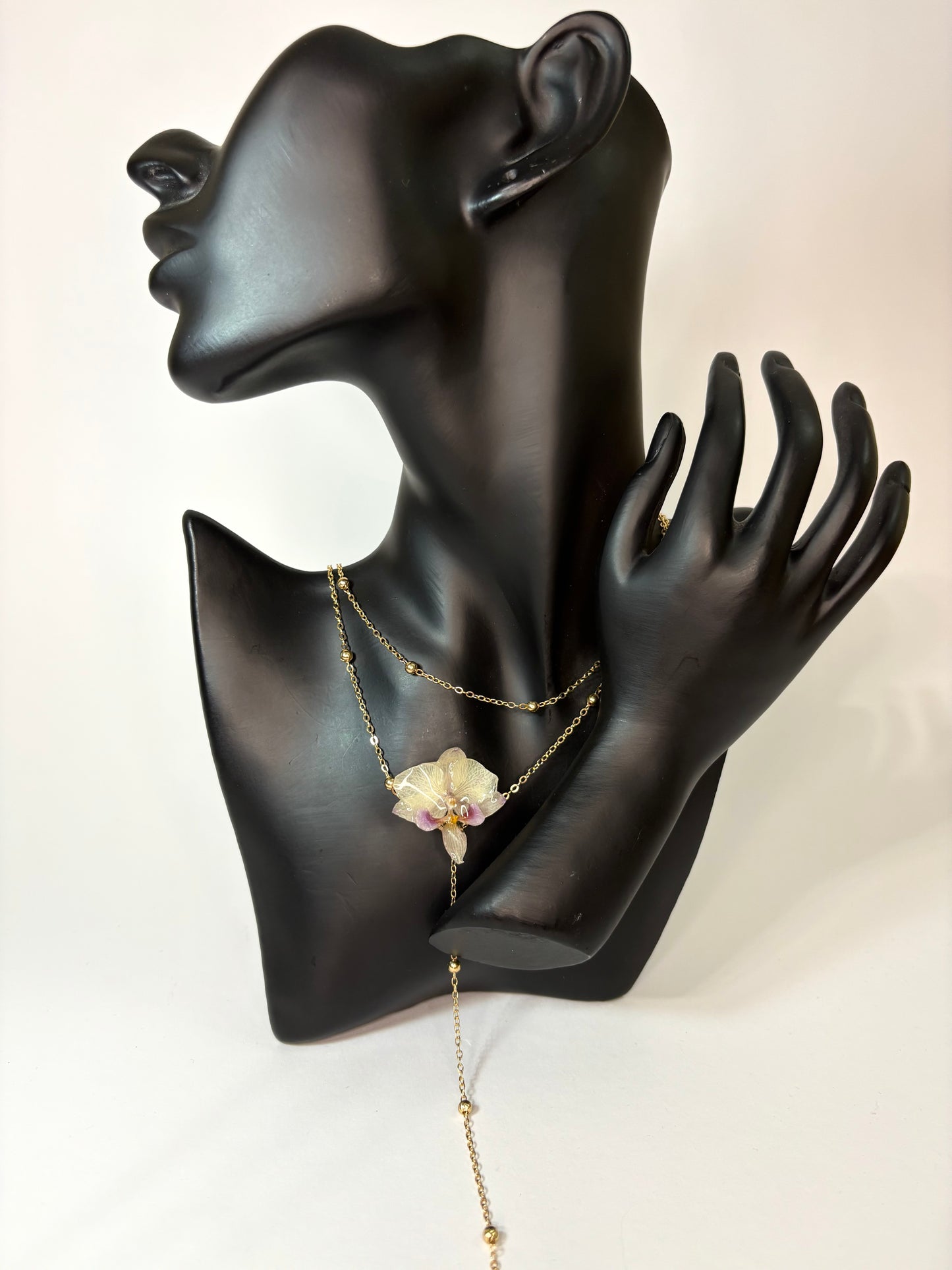 Soft white mini orchid