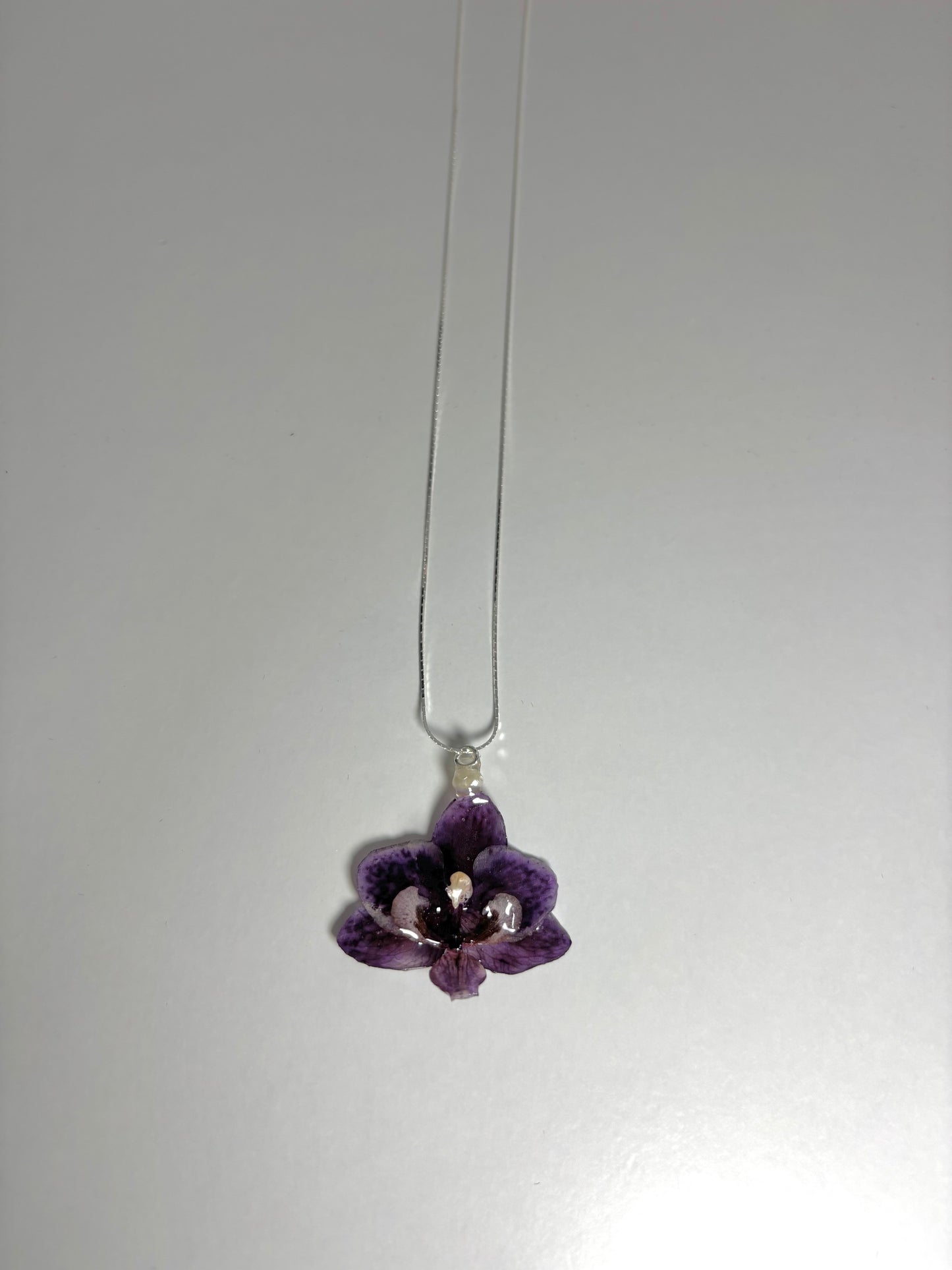 Lila orchid mini