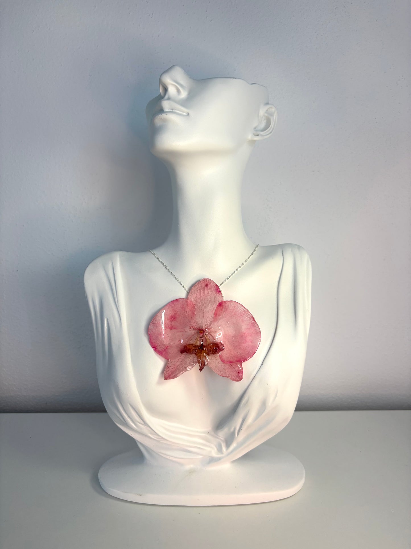 Rosy orchid