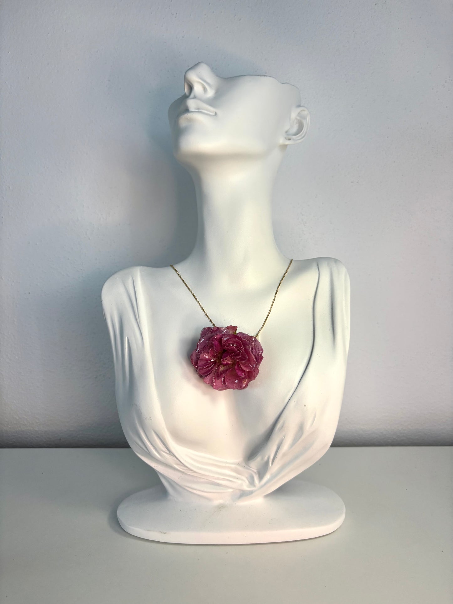Blush Rose