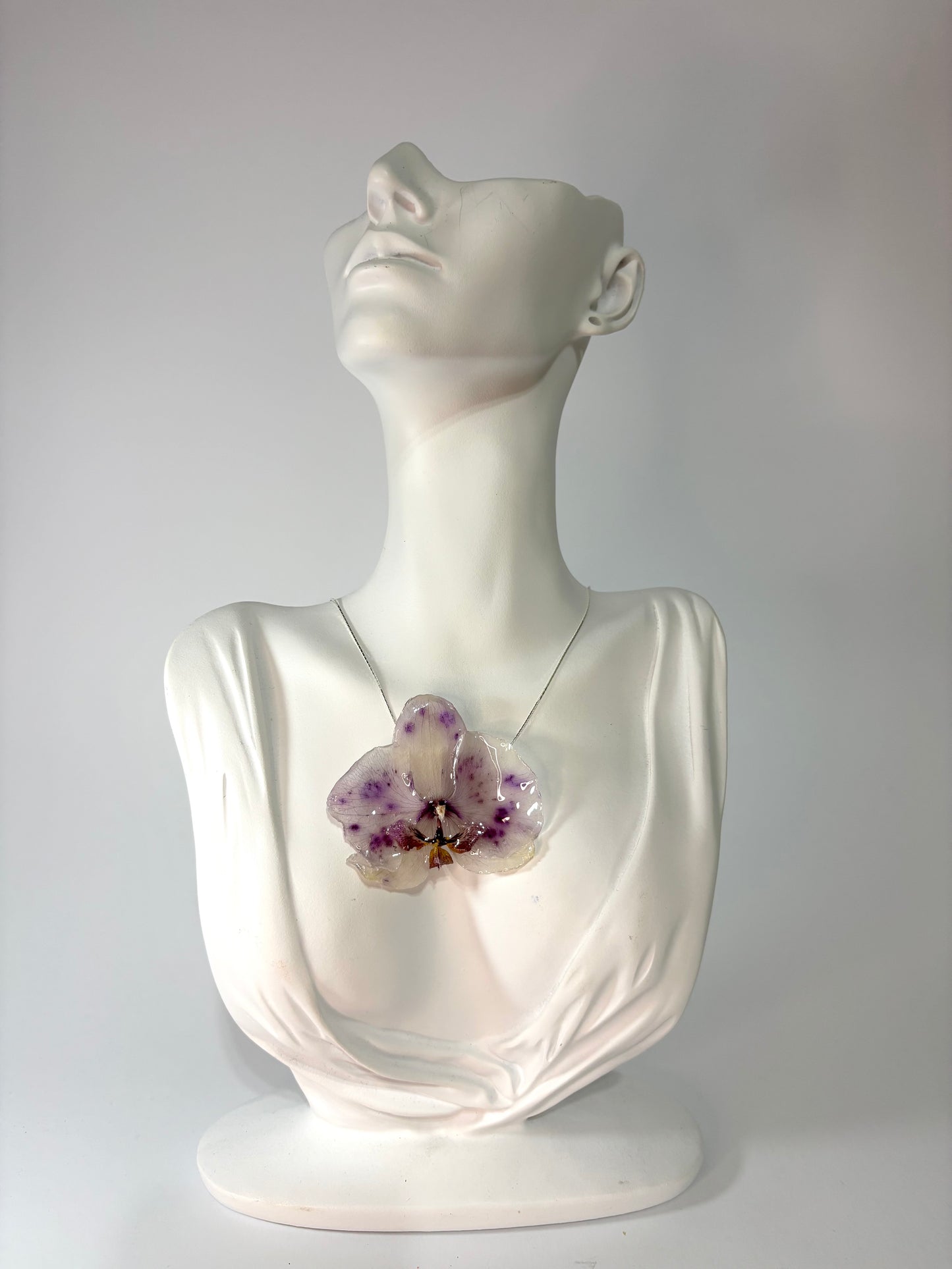 Touch of purple orchid