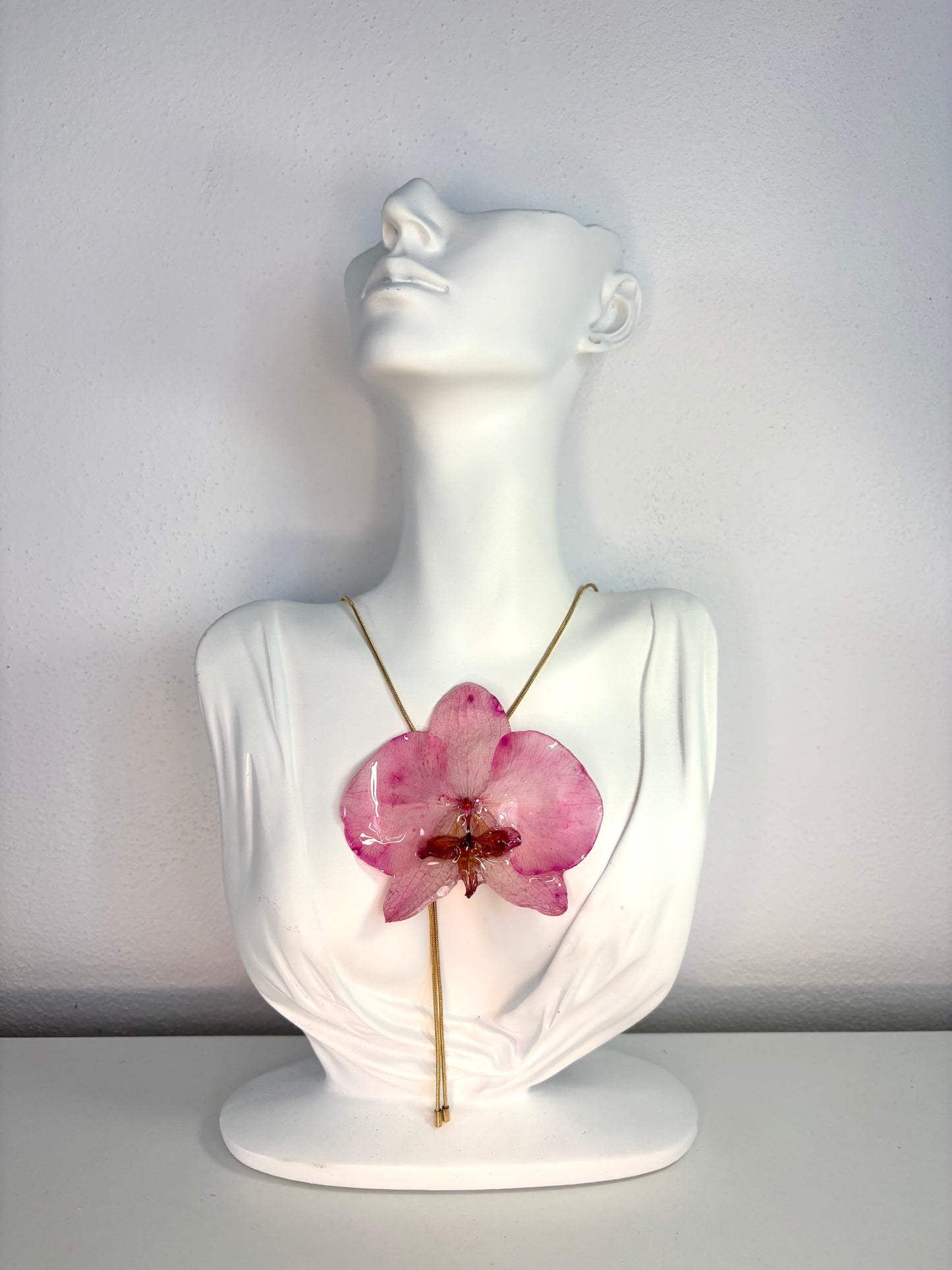 Rosy orchid