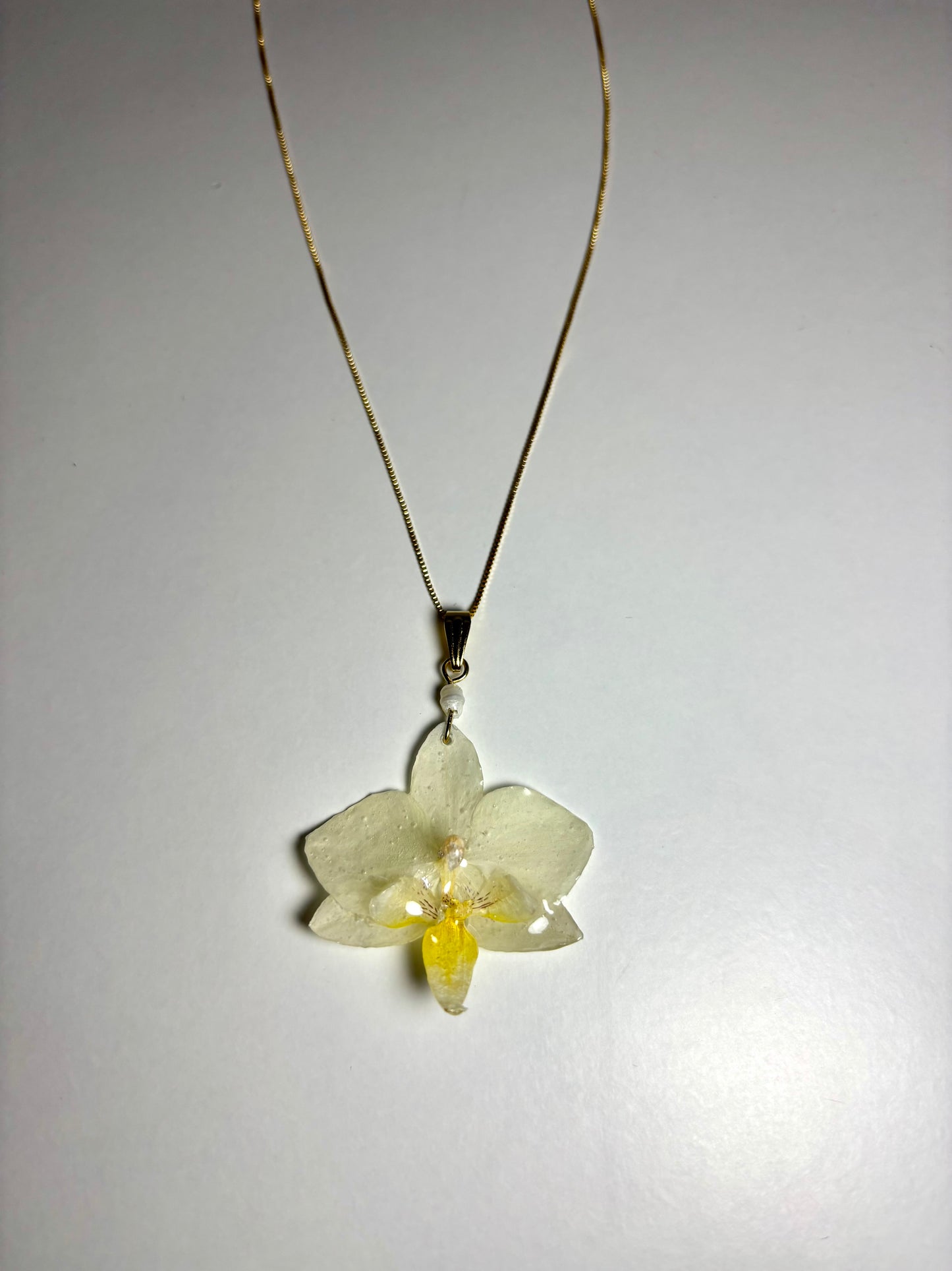 Mini white pearl orchid