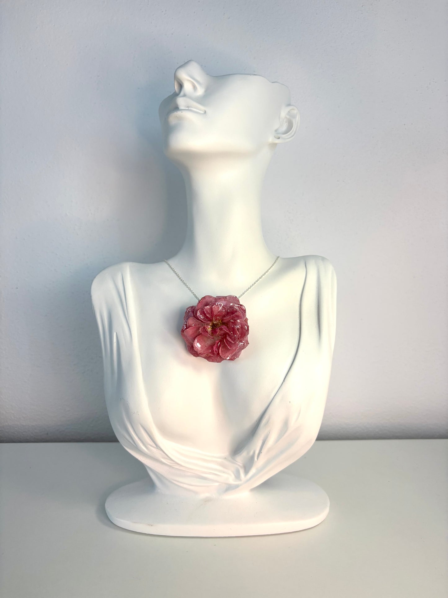 Blush Rose