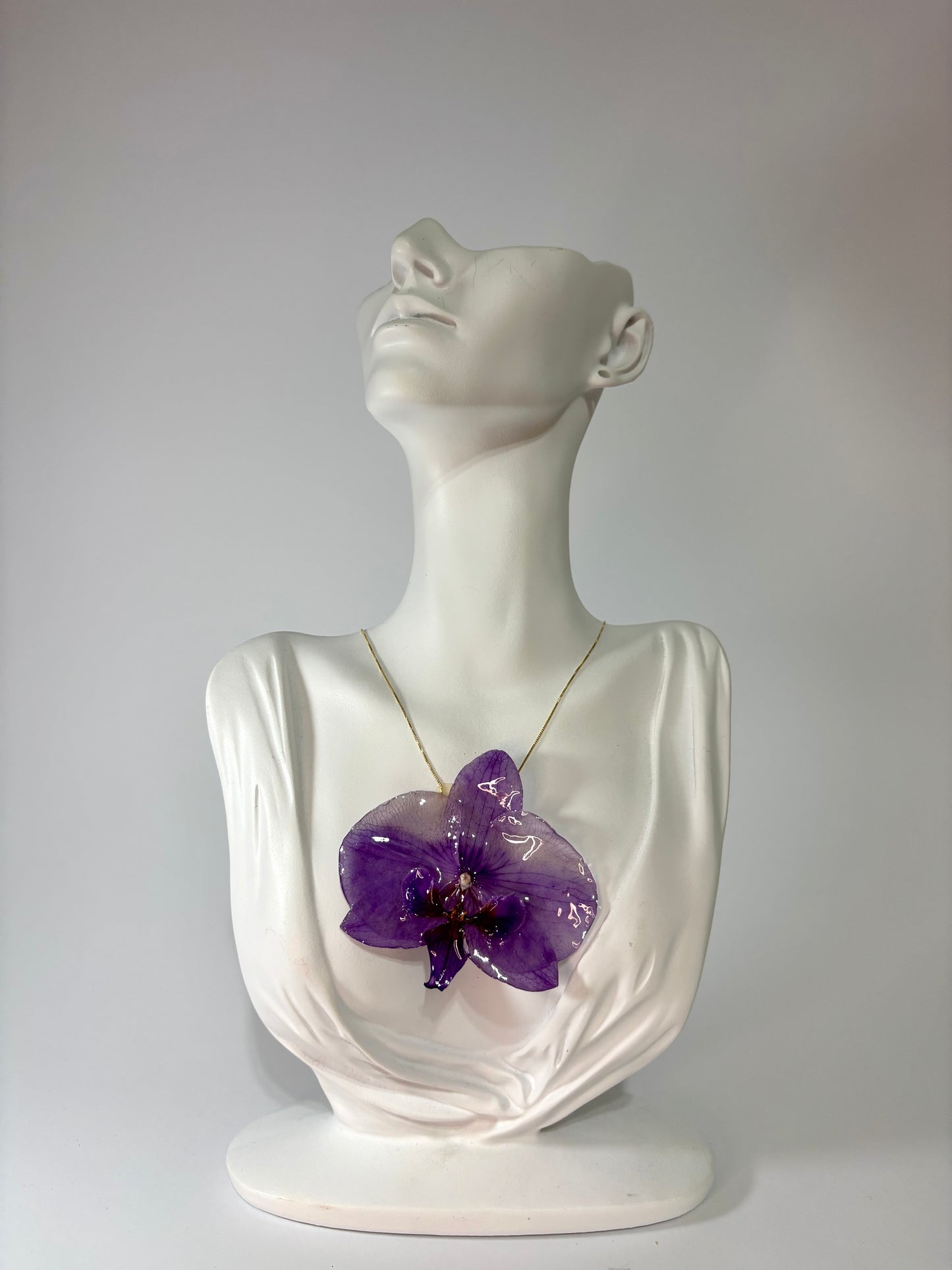 Purple deluxe orchid