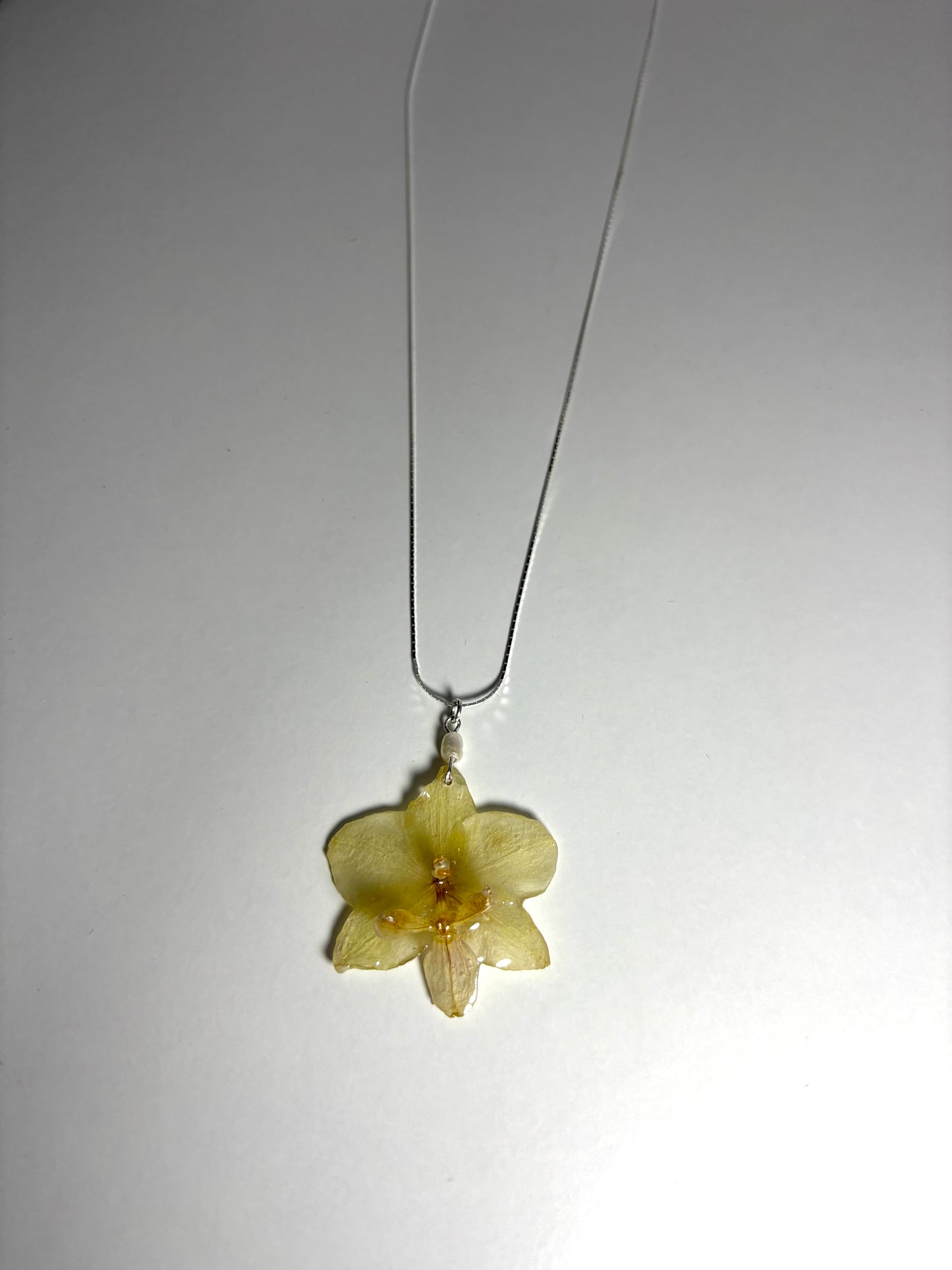 Mini orhidee butter lemon