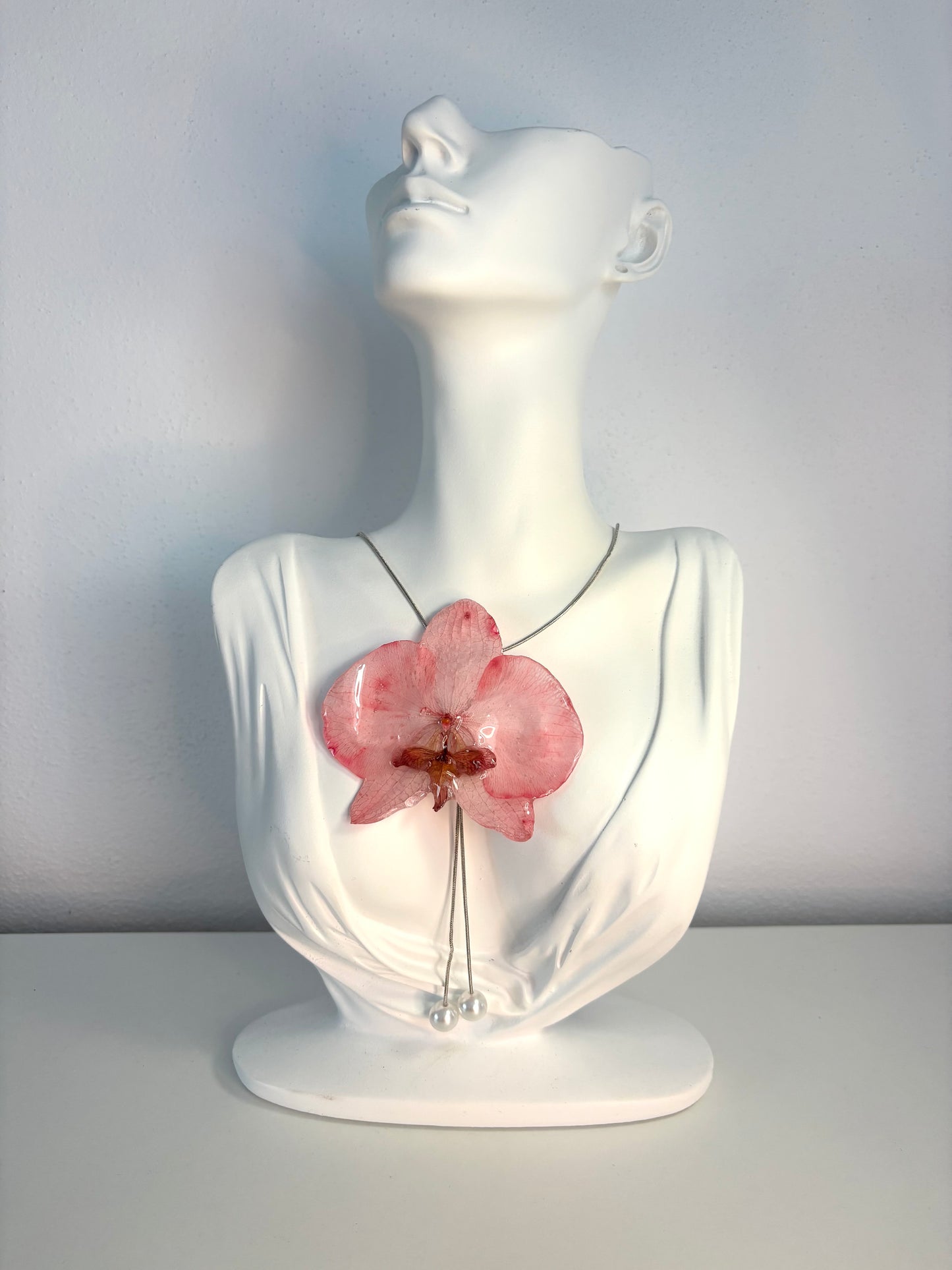 Rosy orchid