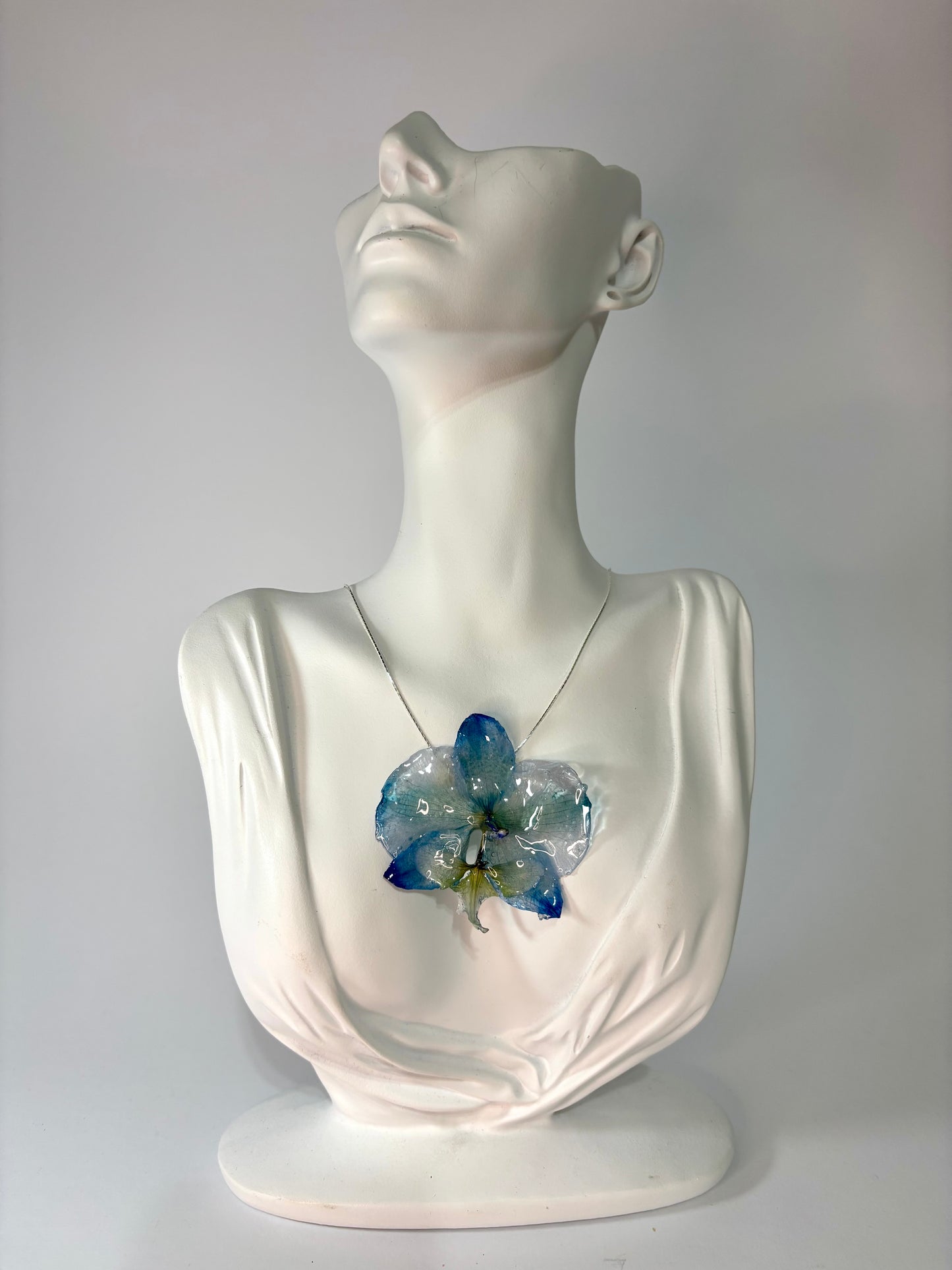 Summer love orchid
