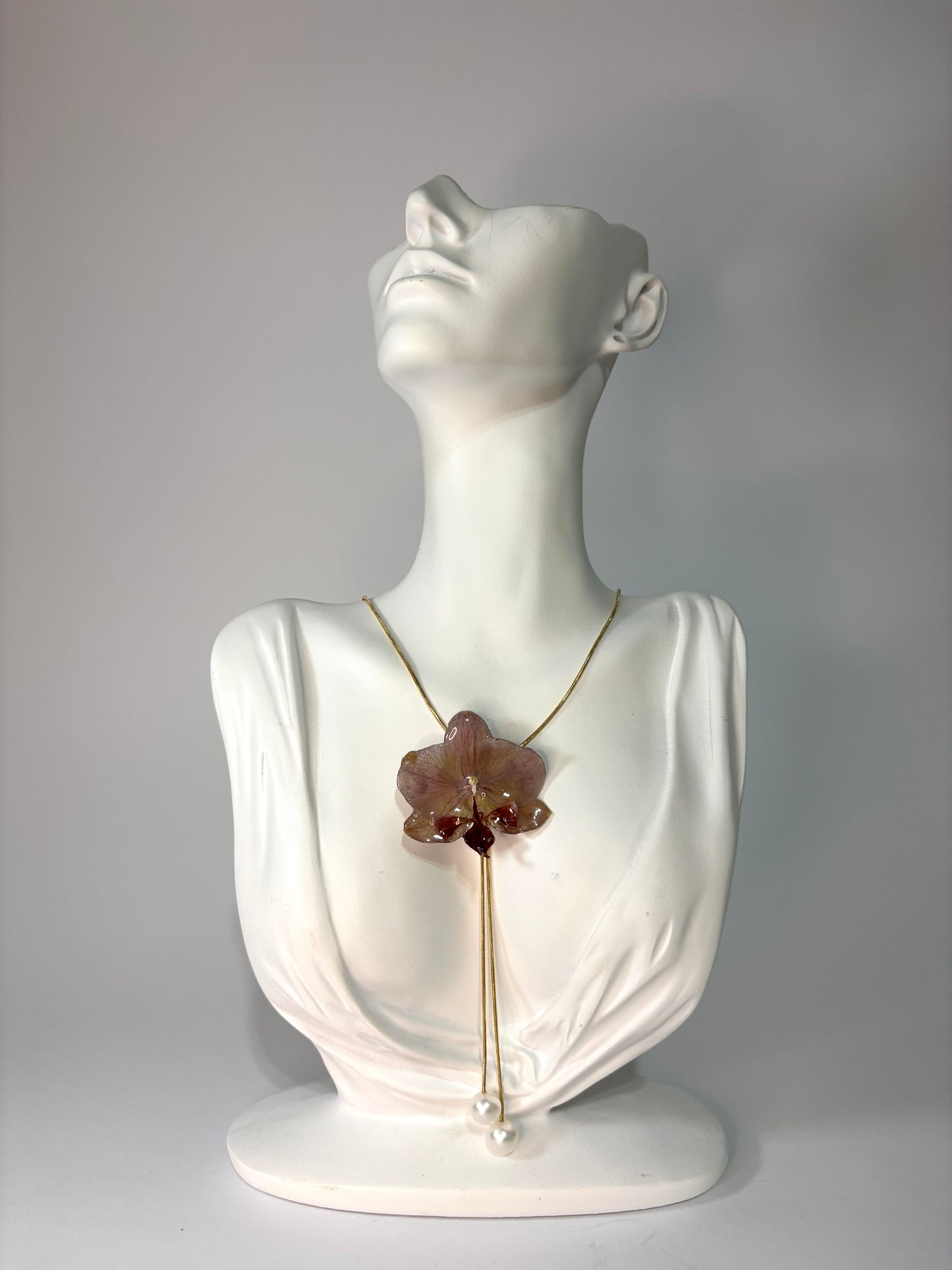Mini burgundy orchid