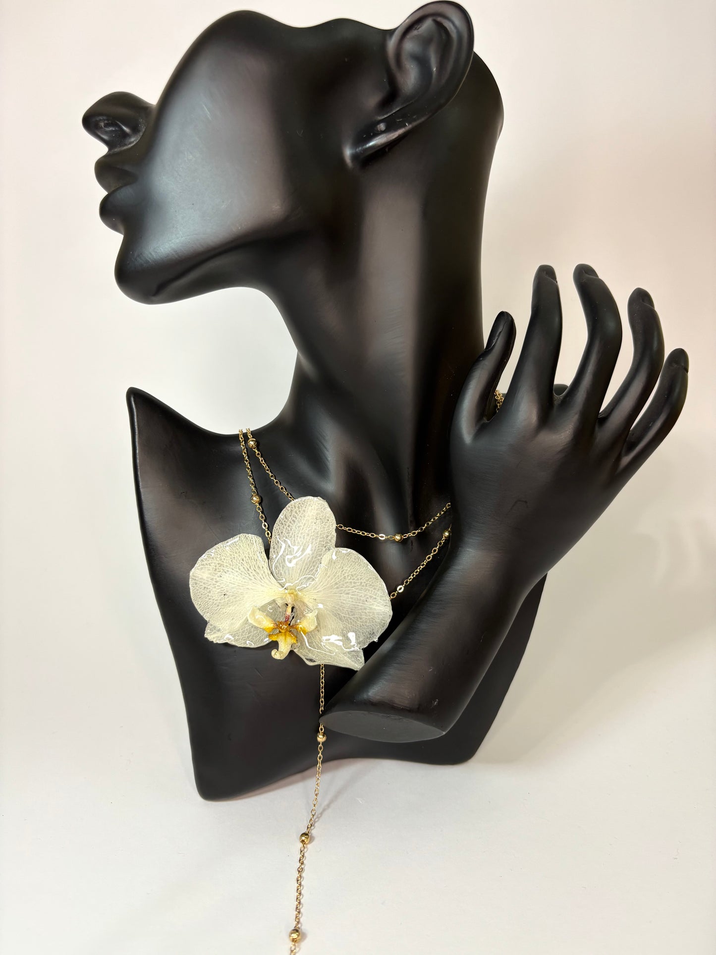 White Diamond 🌴🥥