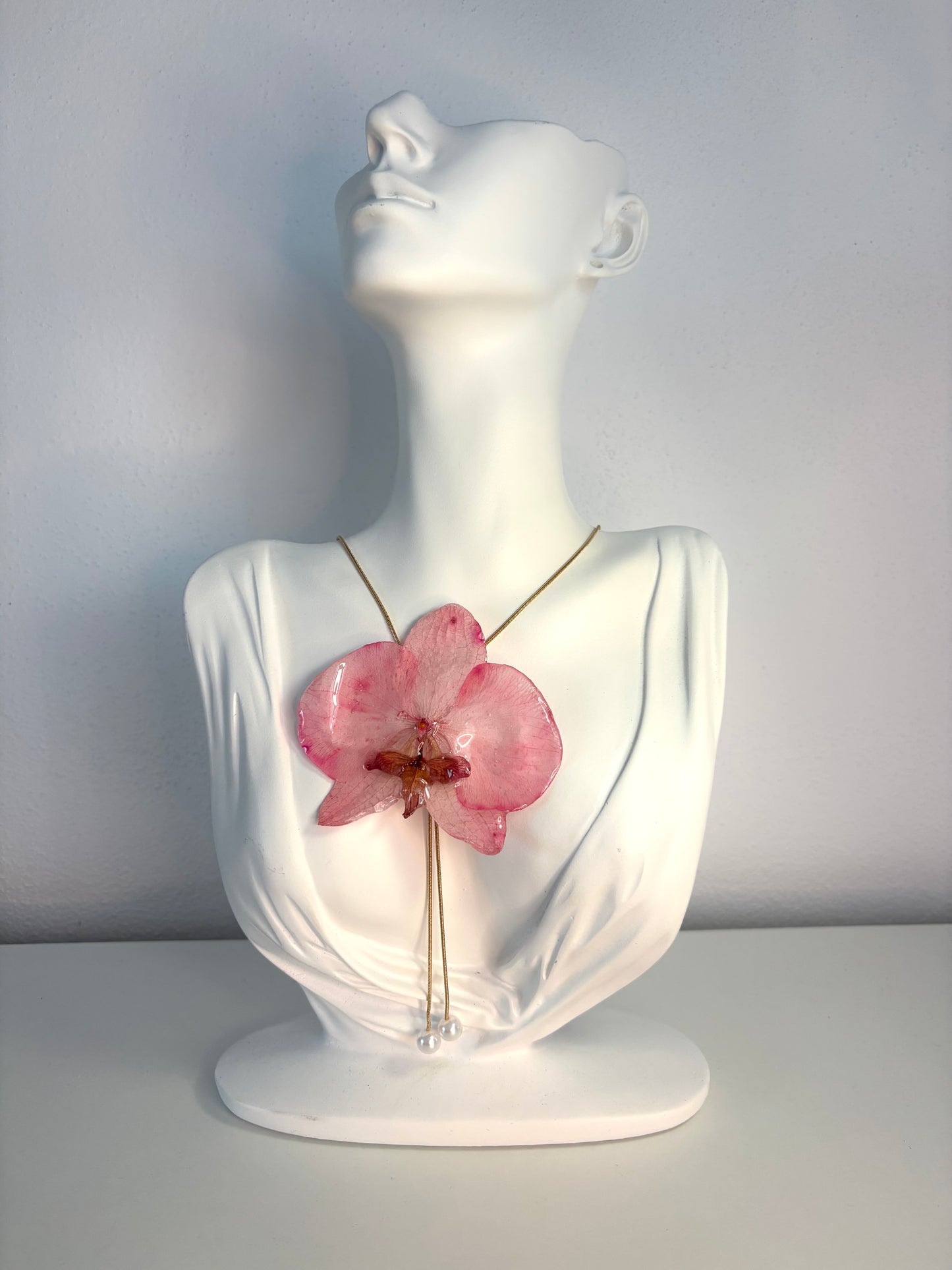 Rosy orchid