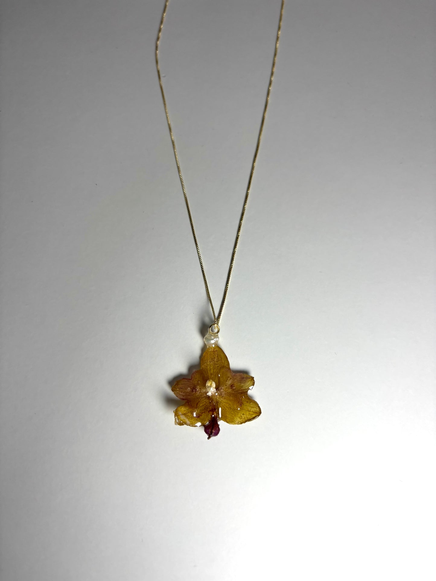 Mini brown orchid