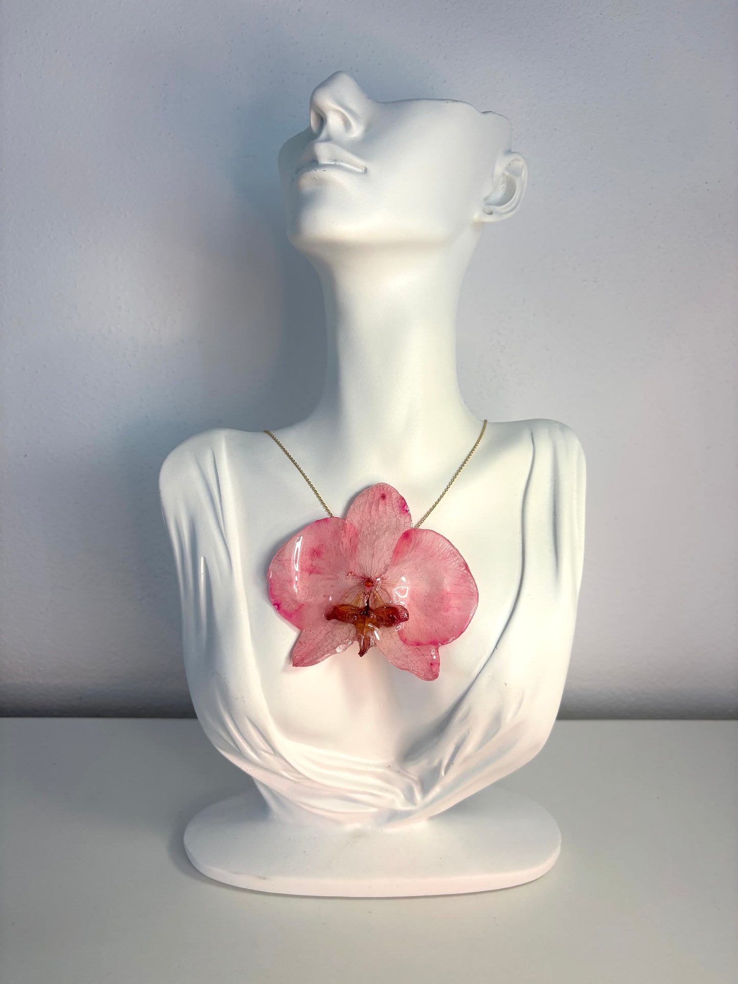 Rosy orchid