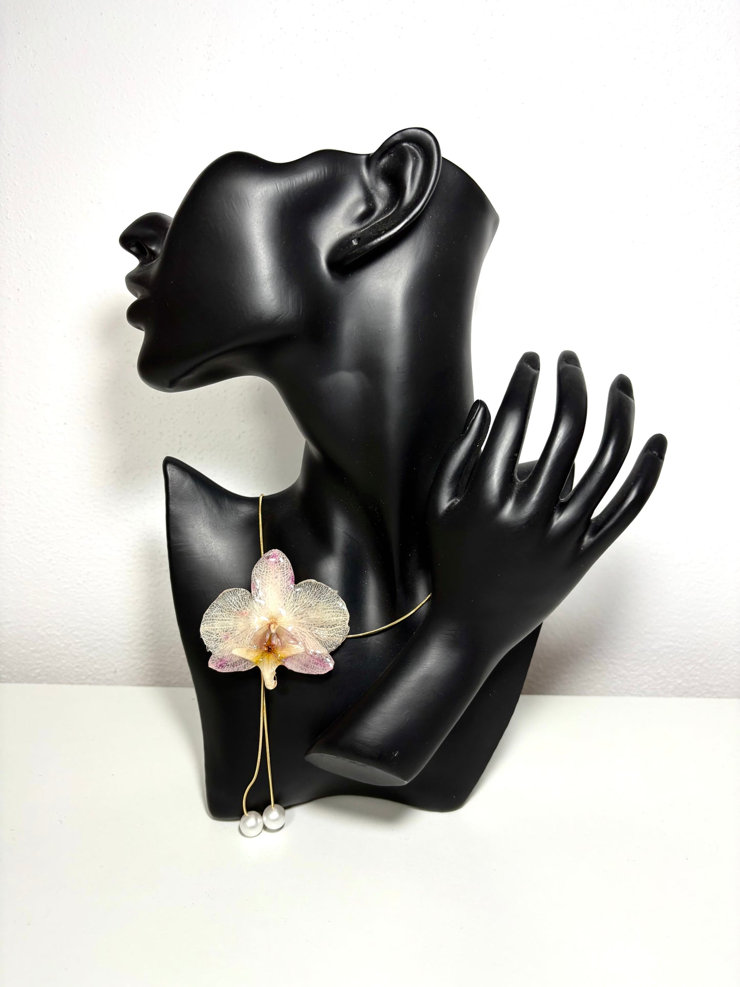 Blush orchid ๐