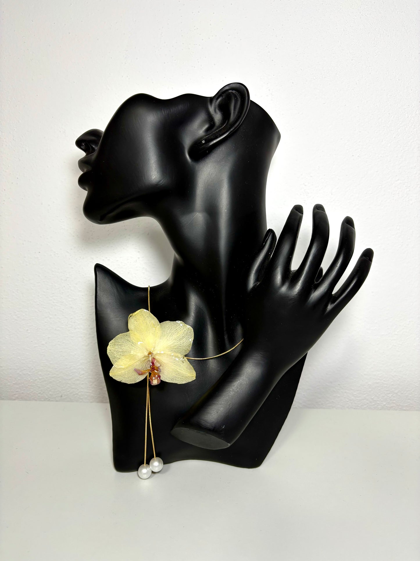 Butter lemon orchid ๐