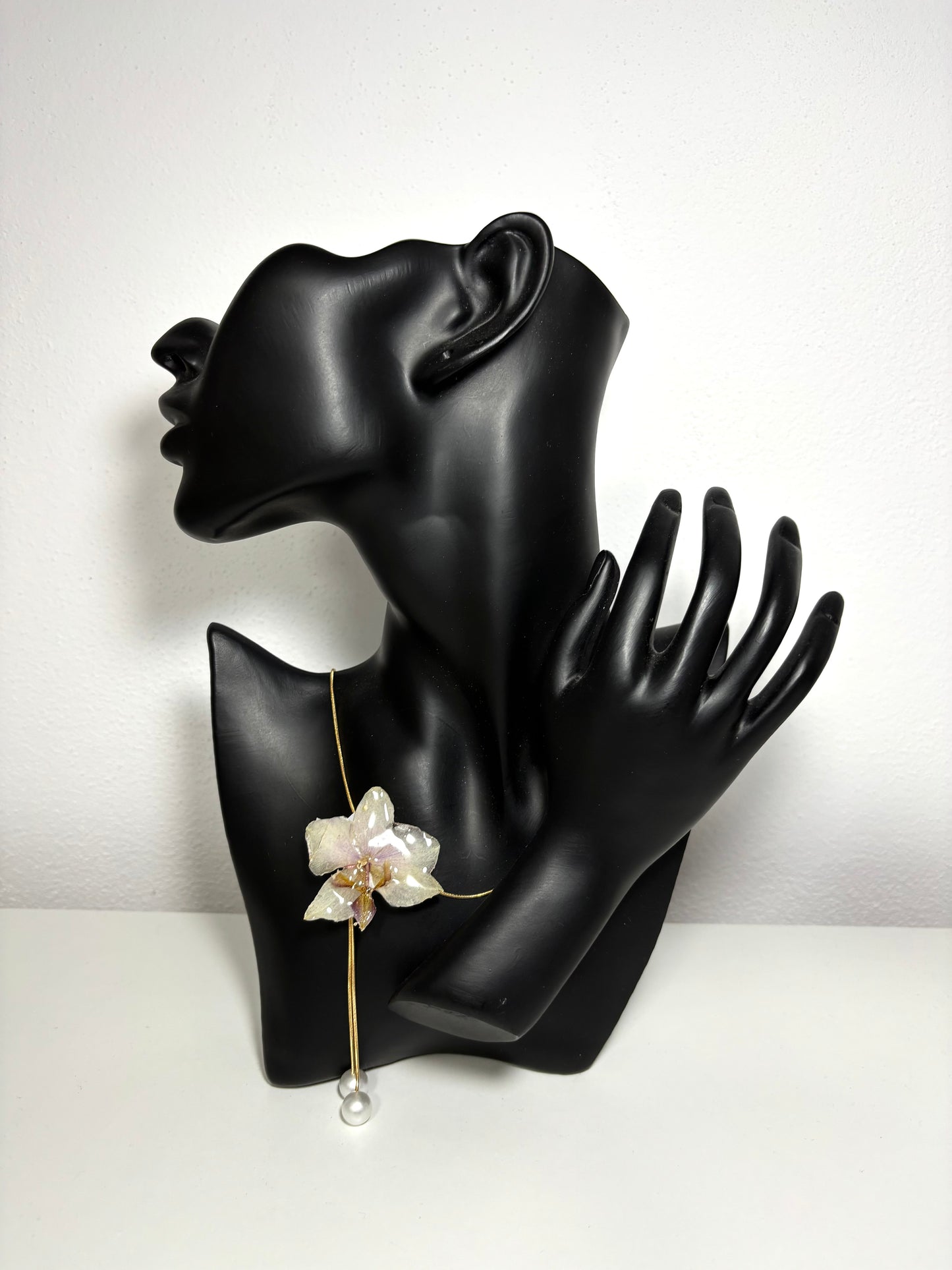 Moon orchid