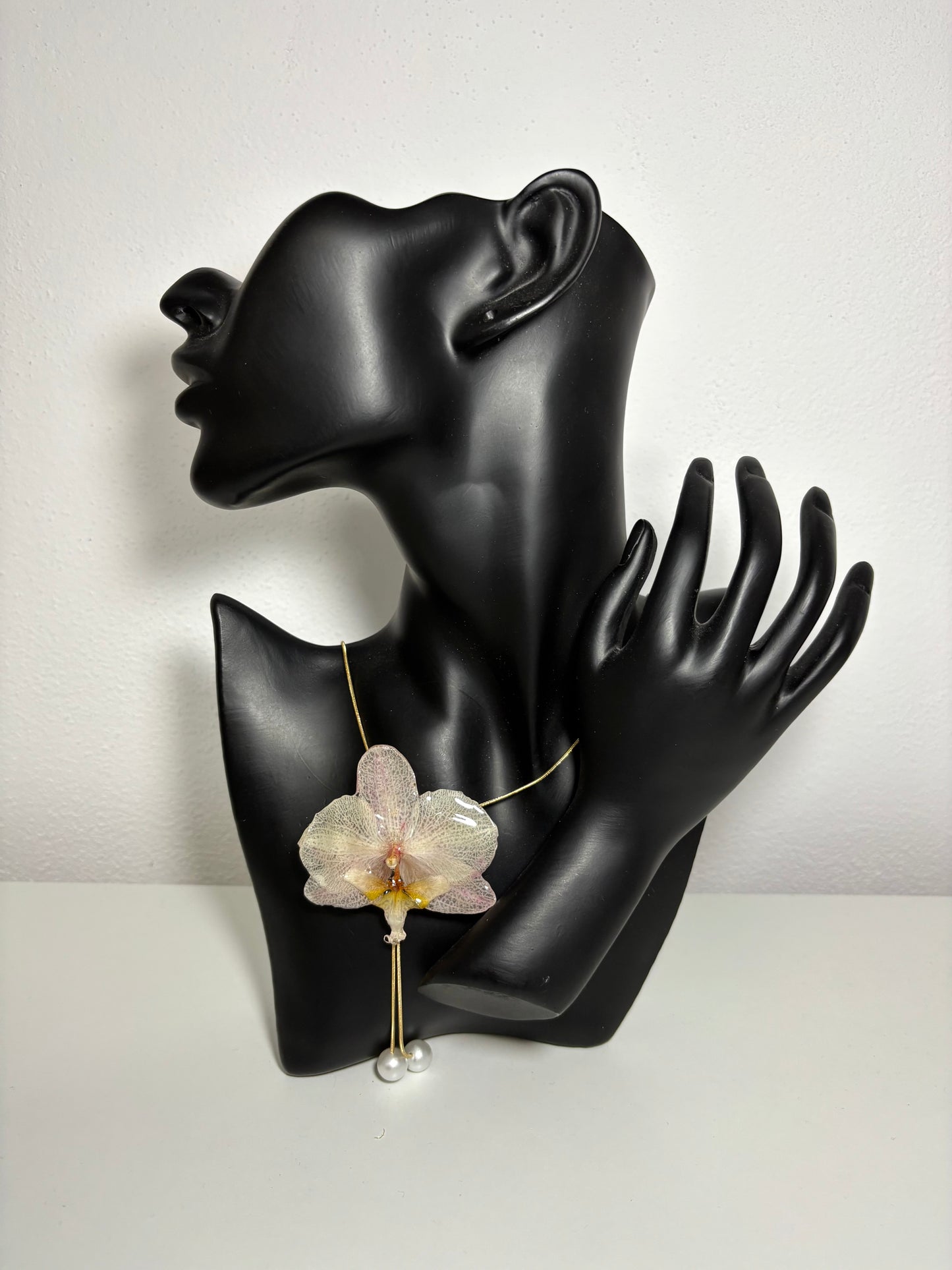 Soft blush orchid ๐