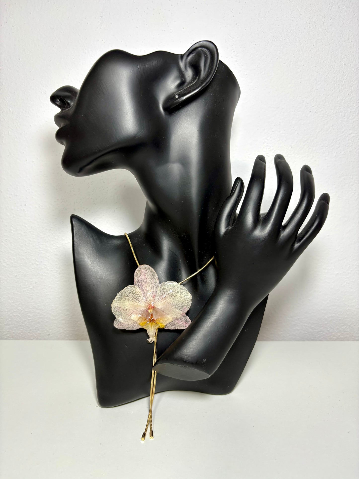 Soft blush orchid ๐