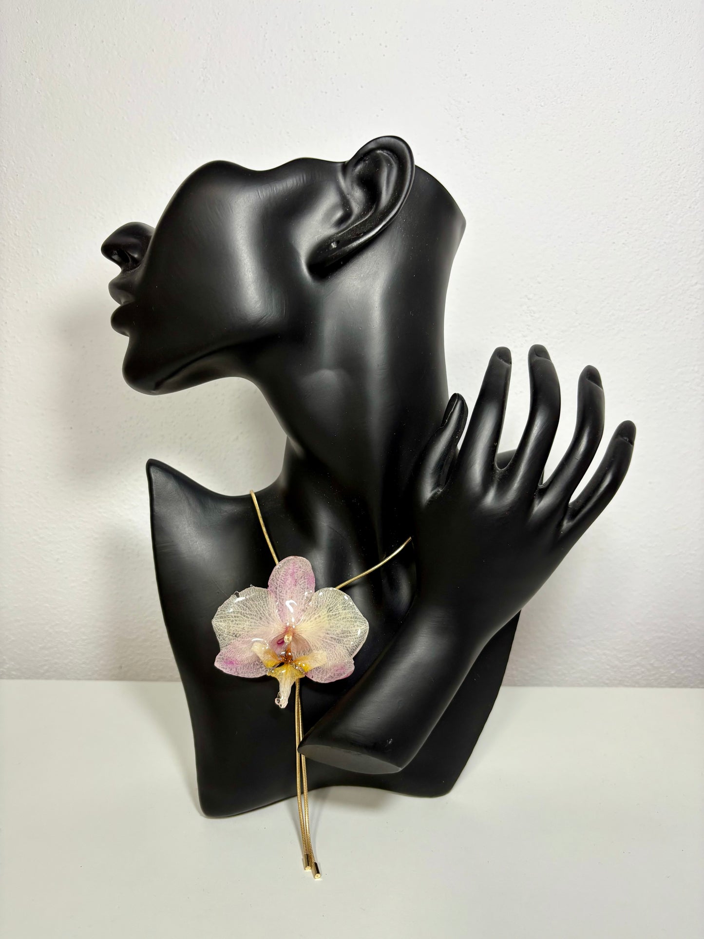 Blush orchid ๐