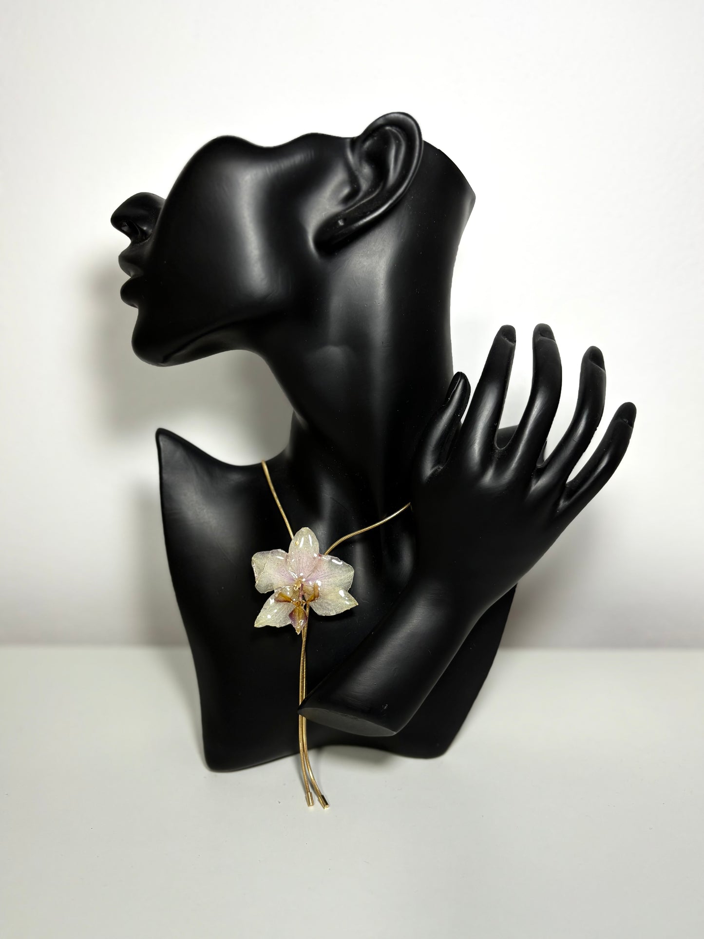 Moon orchid