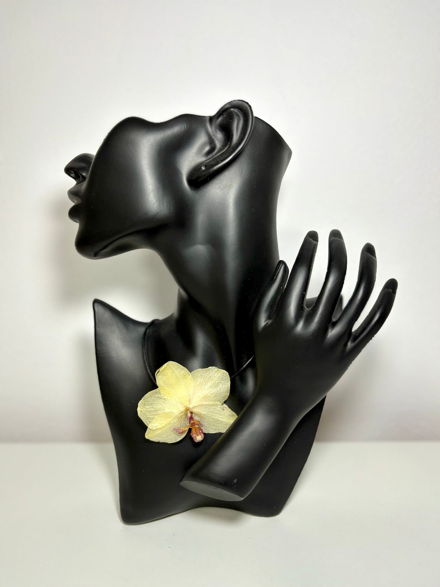 Butter lemon orchid ๐