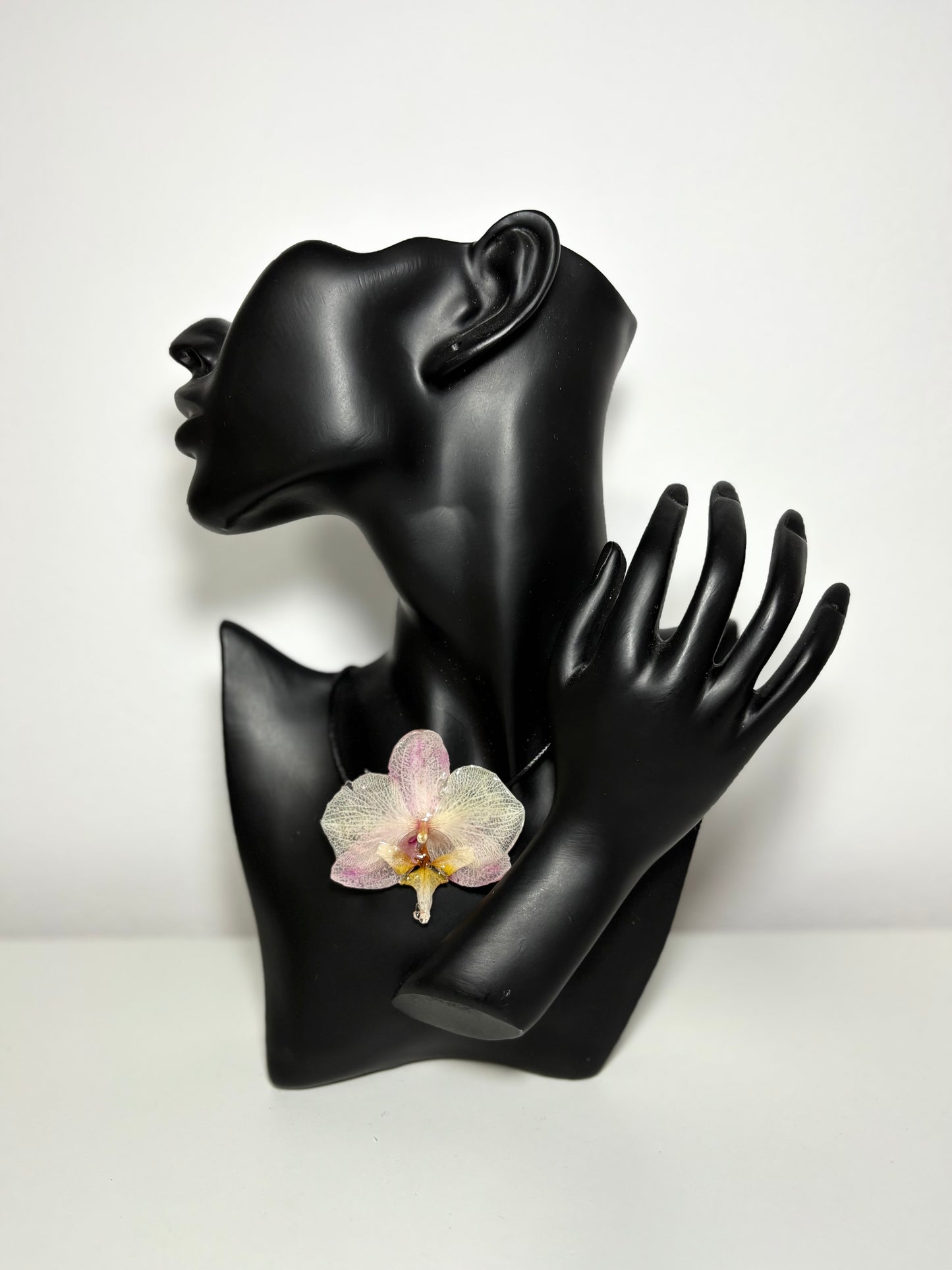 Blush orchid ๐