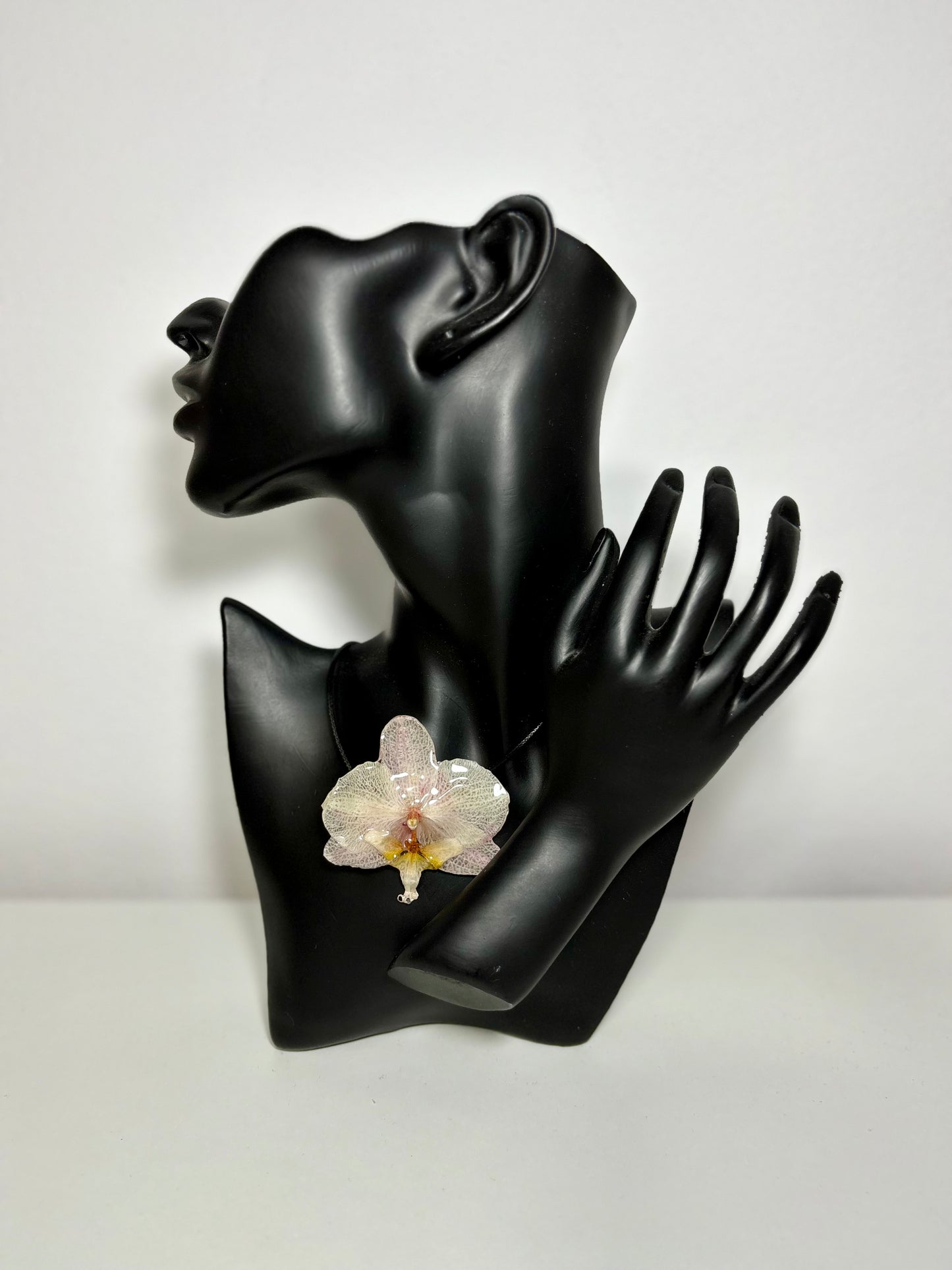 Soft blush orchid ๐