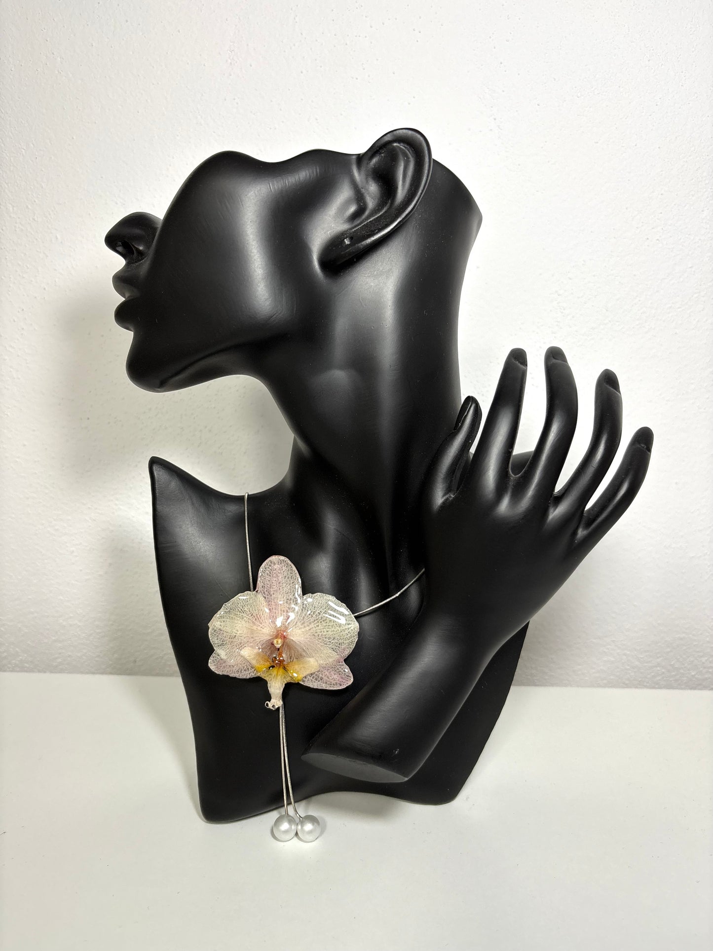 Soft blush orchid ๐