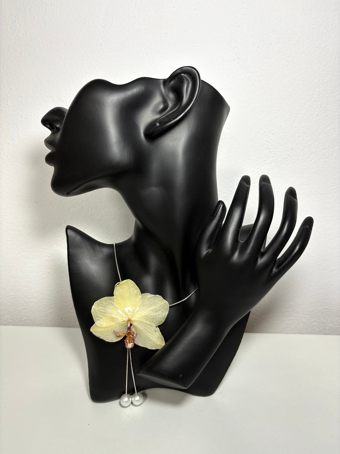 Butter lemon orchid ๐