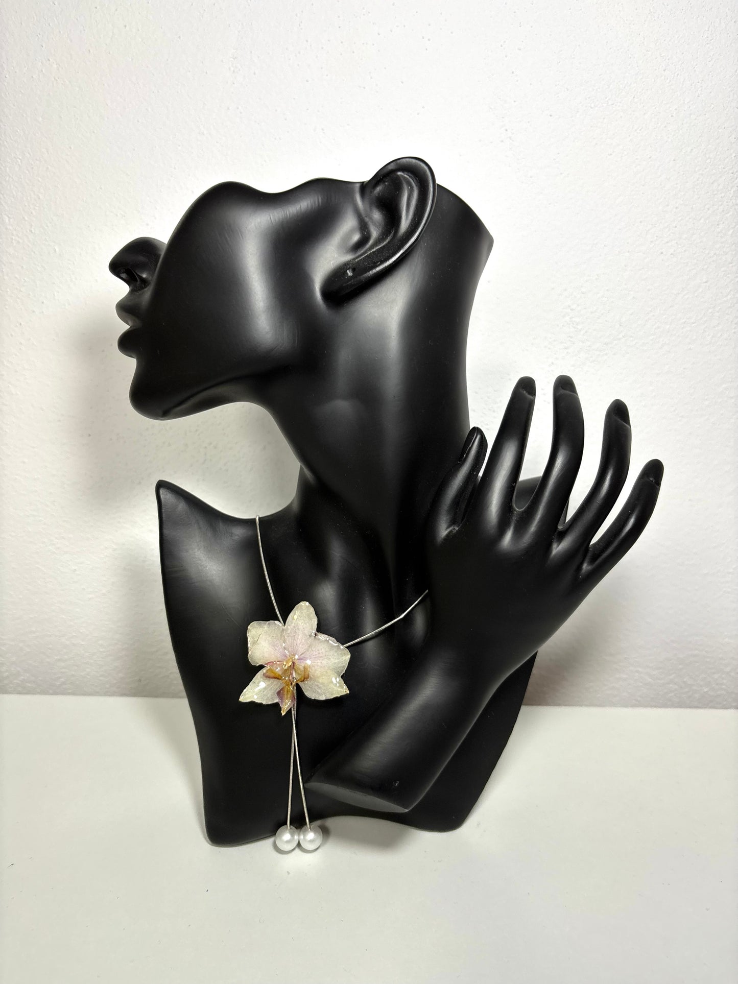Moon orchid