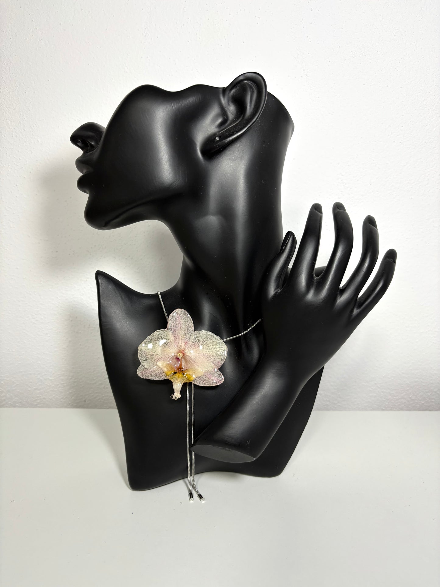 Soft blush orchid ๐
