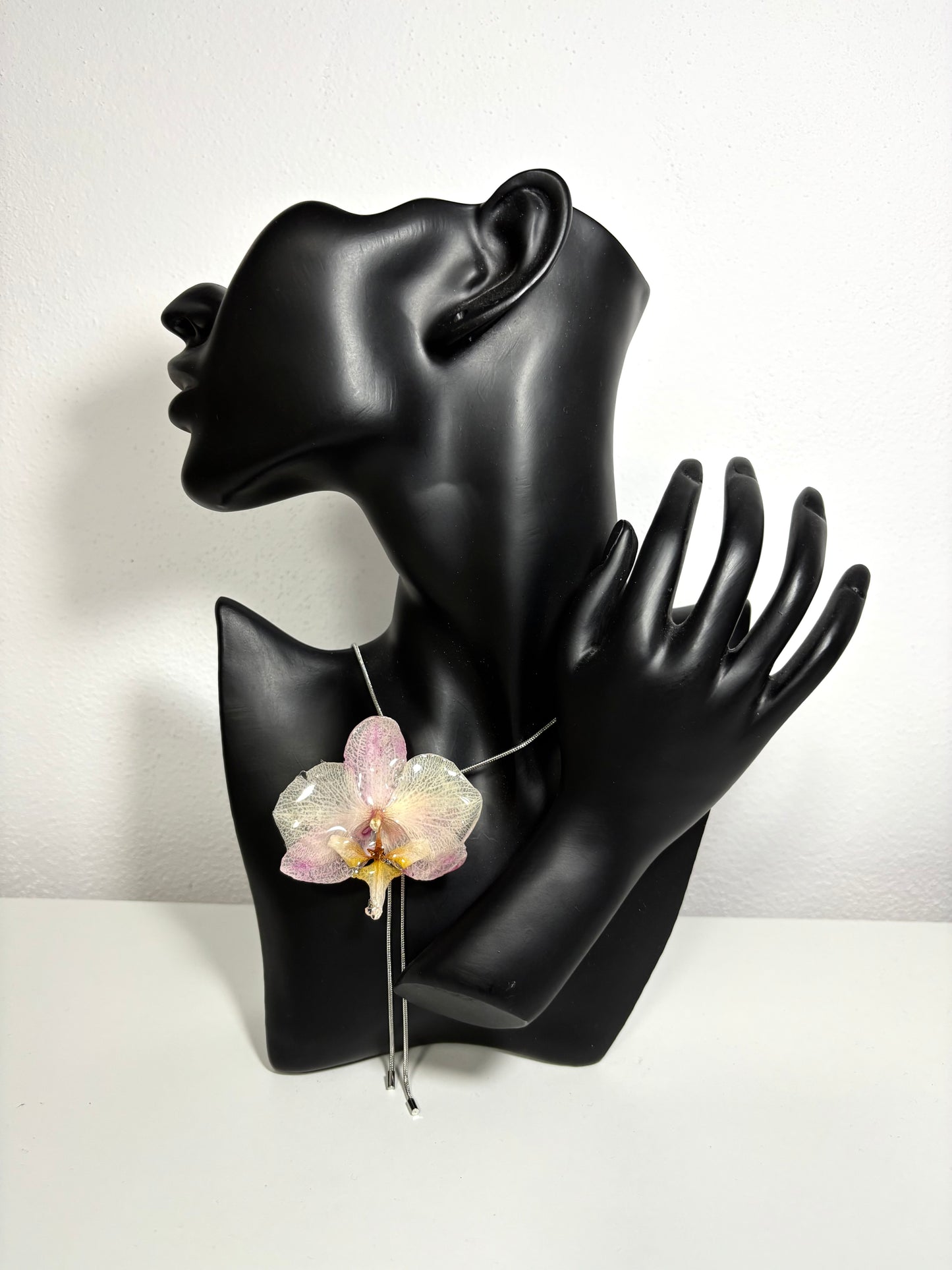 Blush orchid ๐