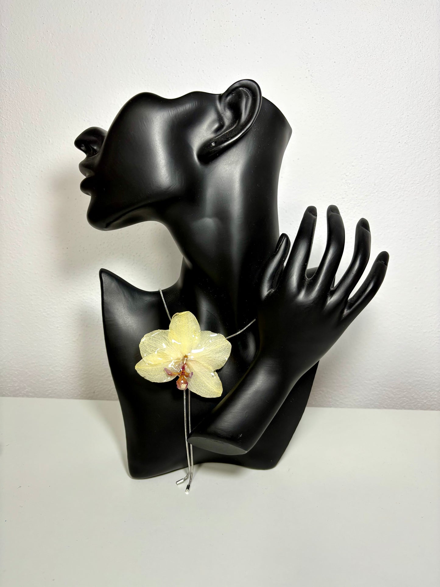 Butter lemon orchid ๐