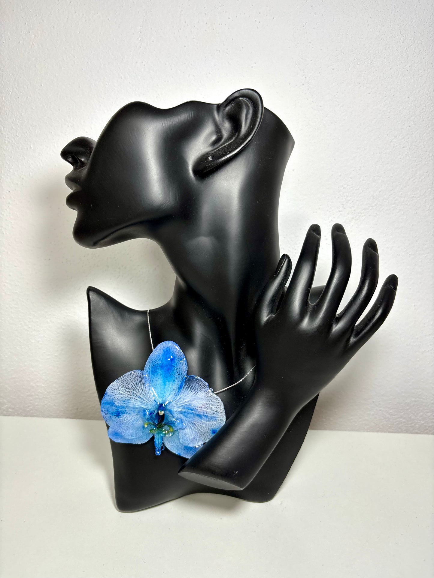 Clear Sky orchid🩵