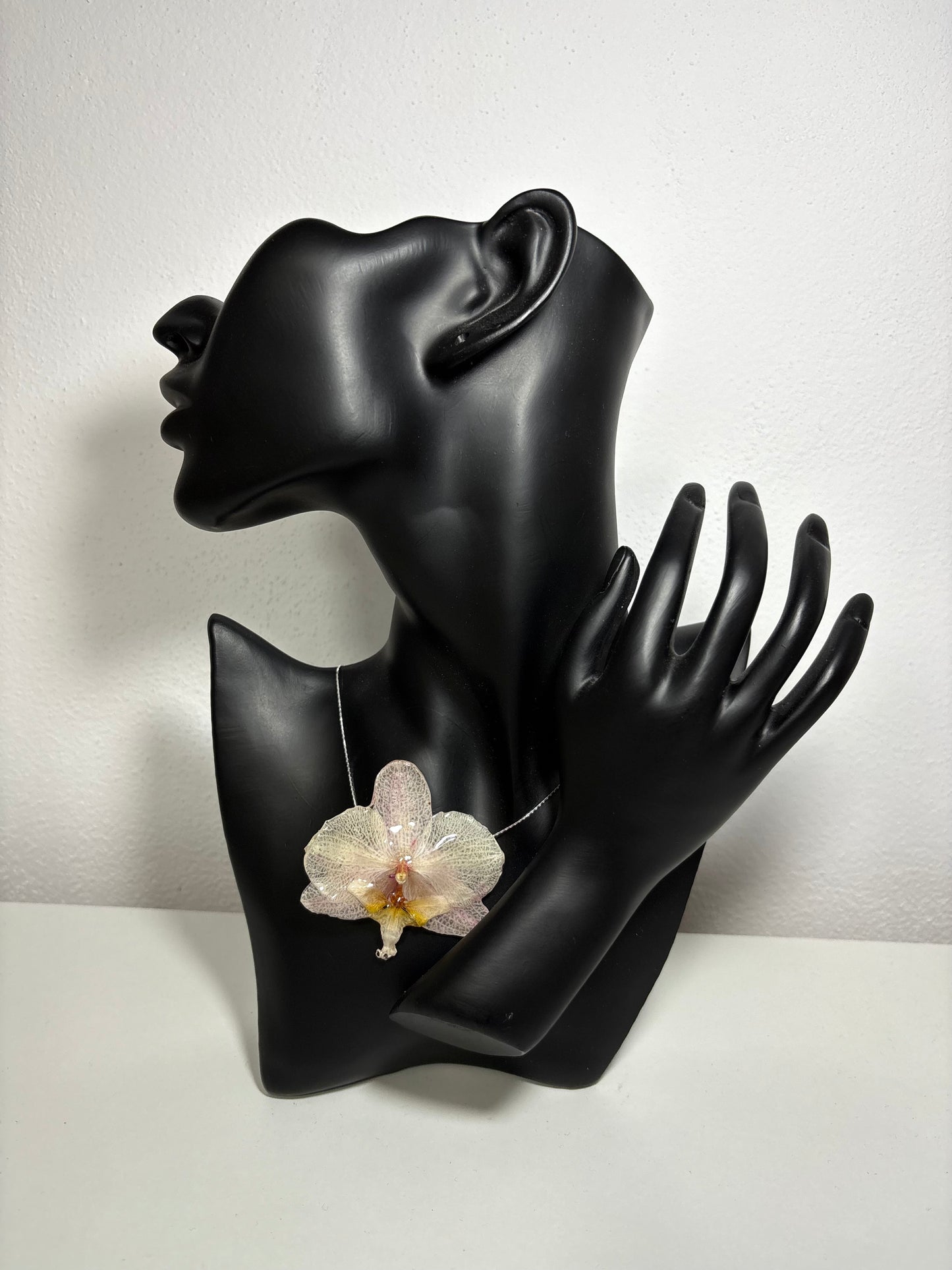 Soft blush orchid ๐