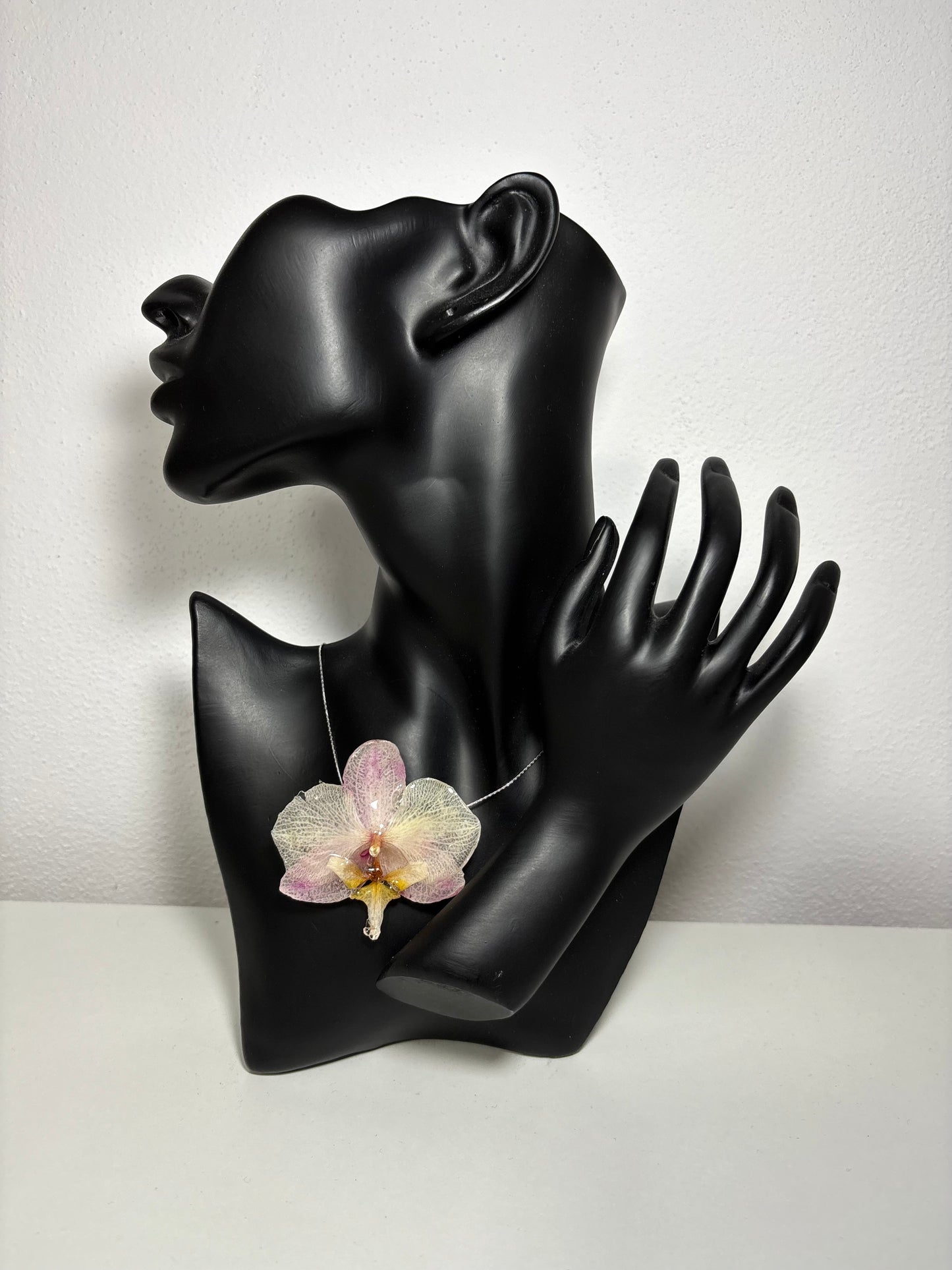 Blush orchid ๐