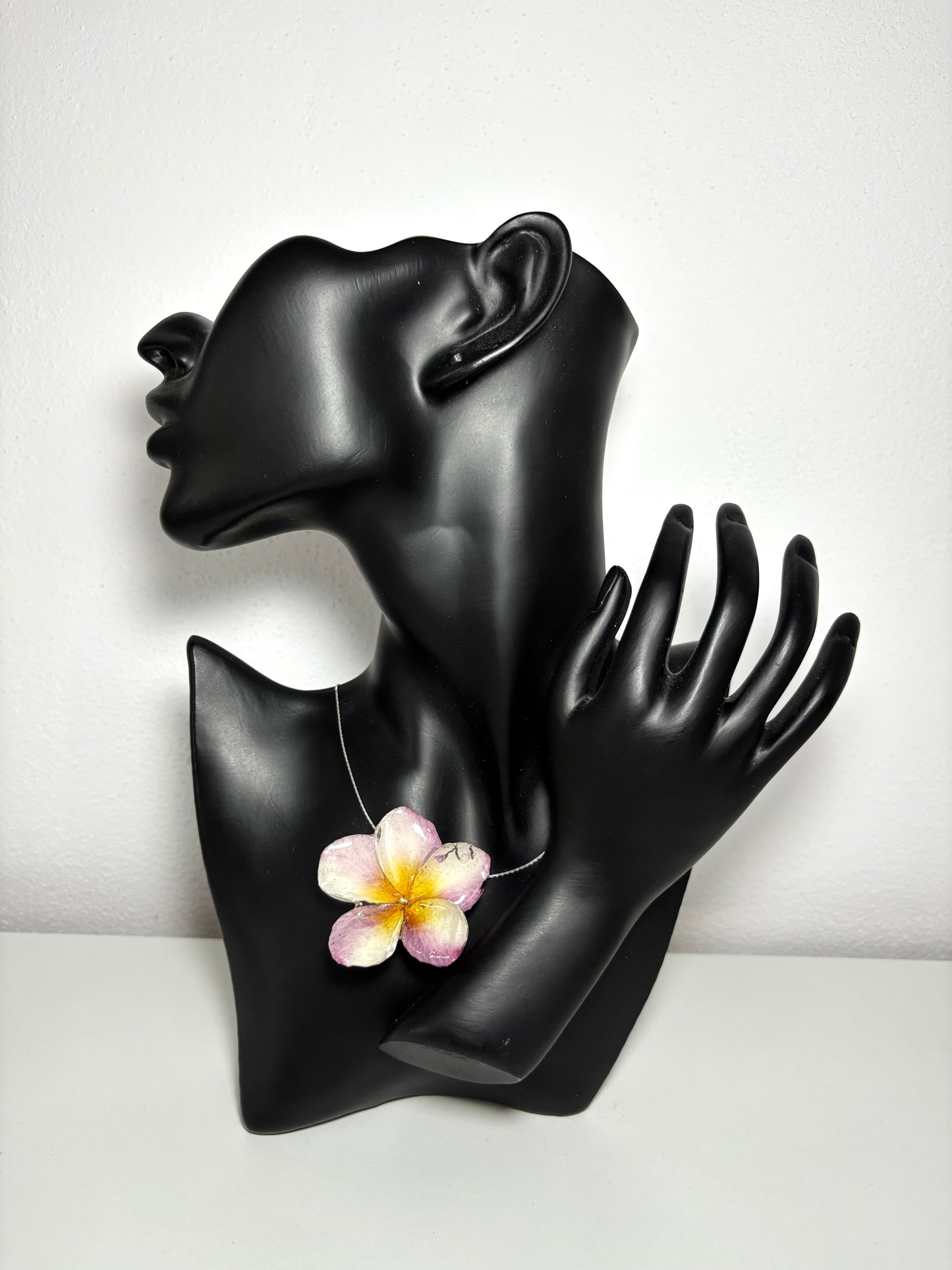 Sunset pink Plumeria