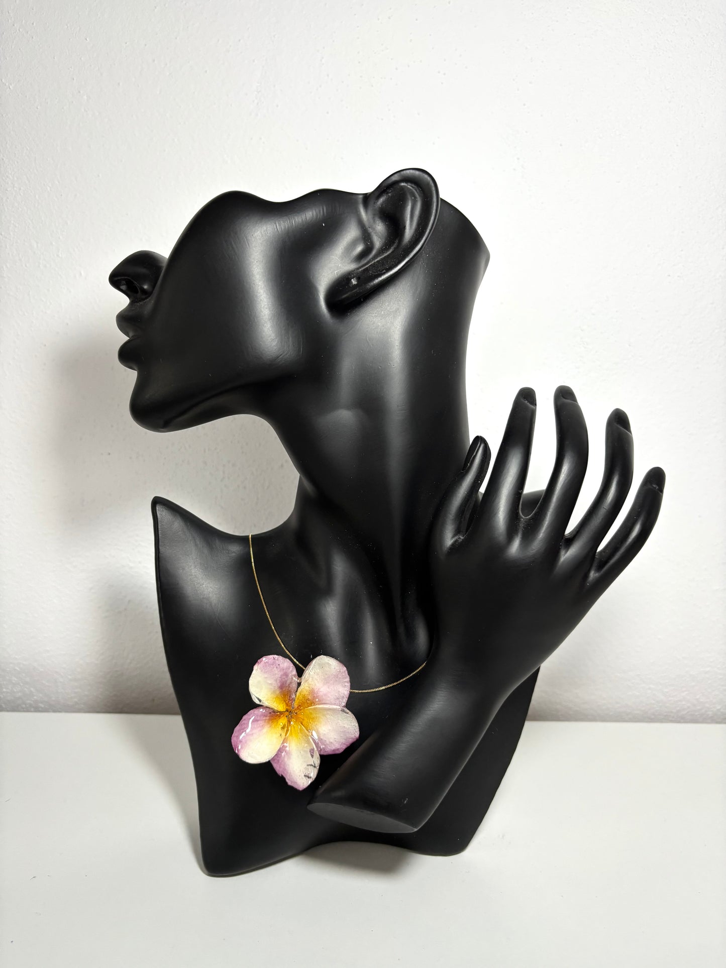 Sunset pink Plumeria