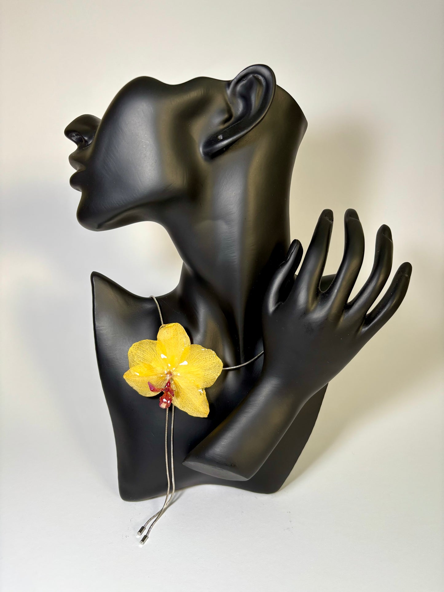 Tropical Radiance