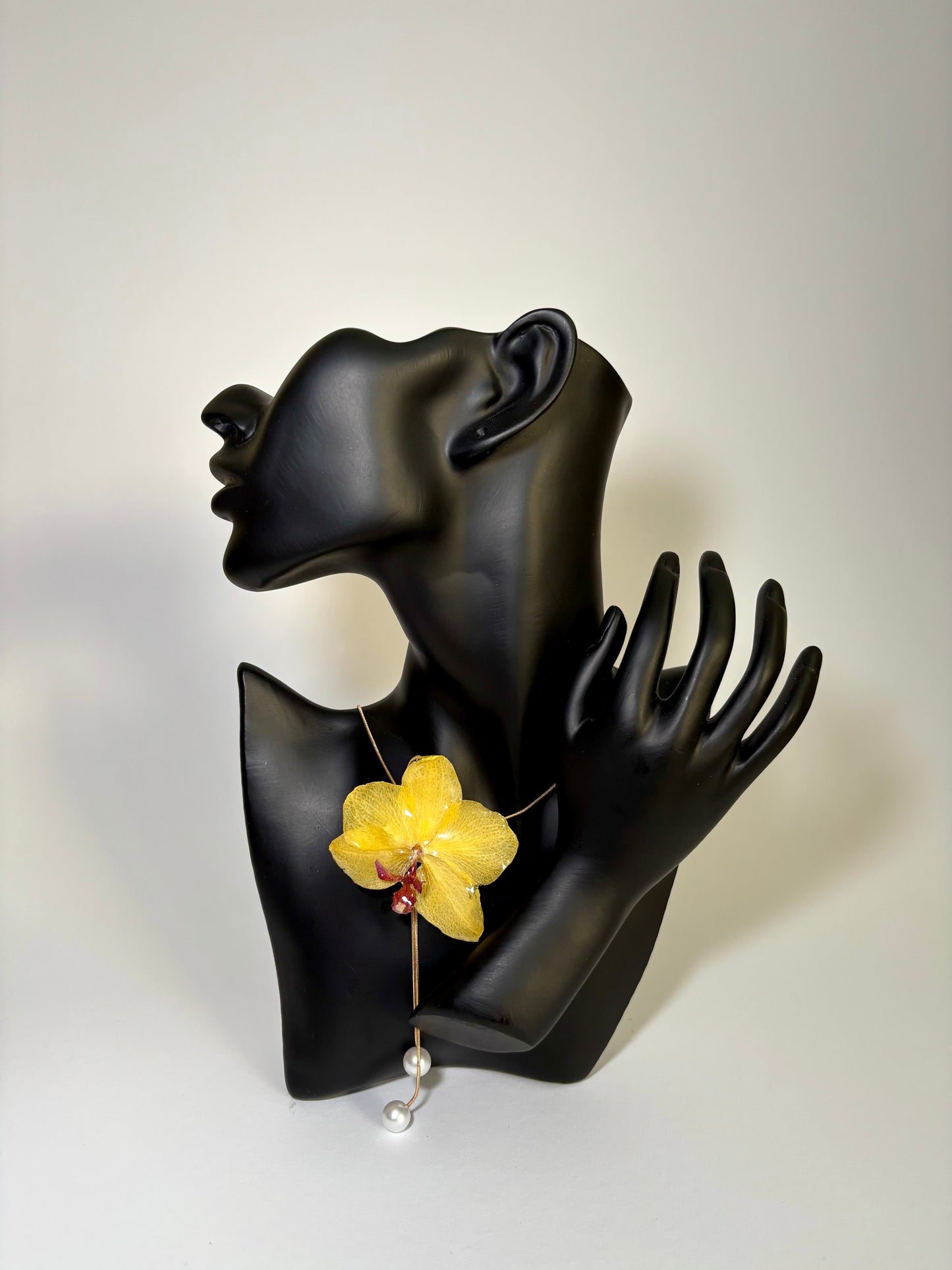 Tropical Radiance