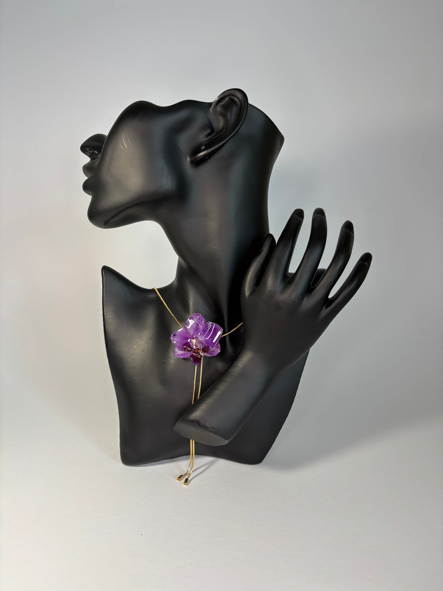 Dark purple mini orchid
