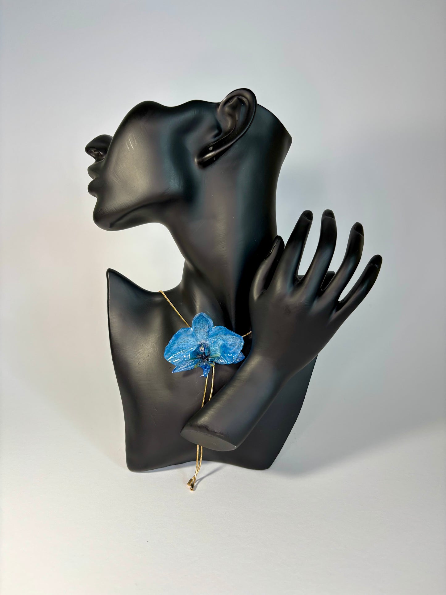 Blue orchid
