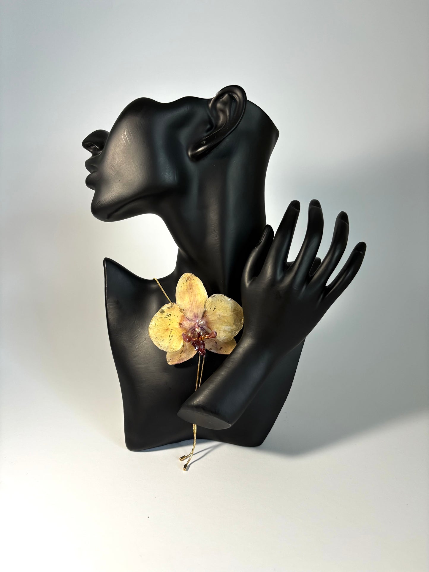 Sunset orchid