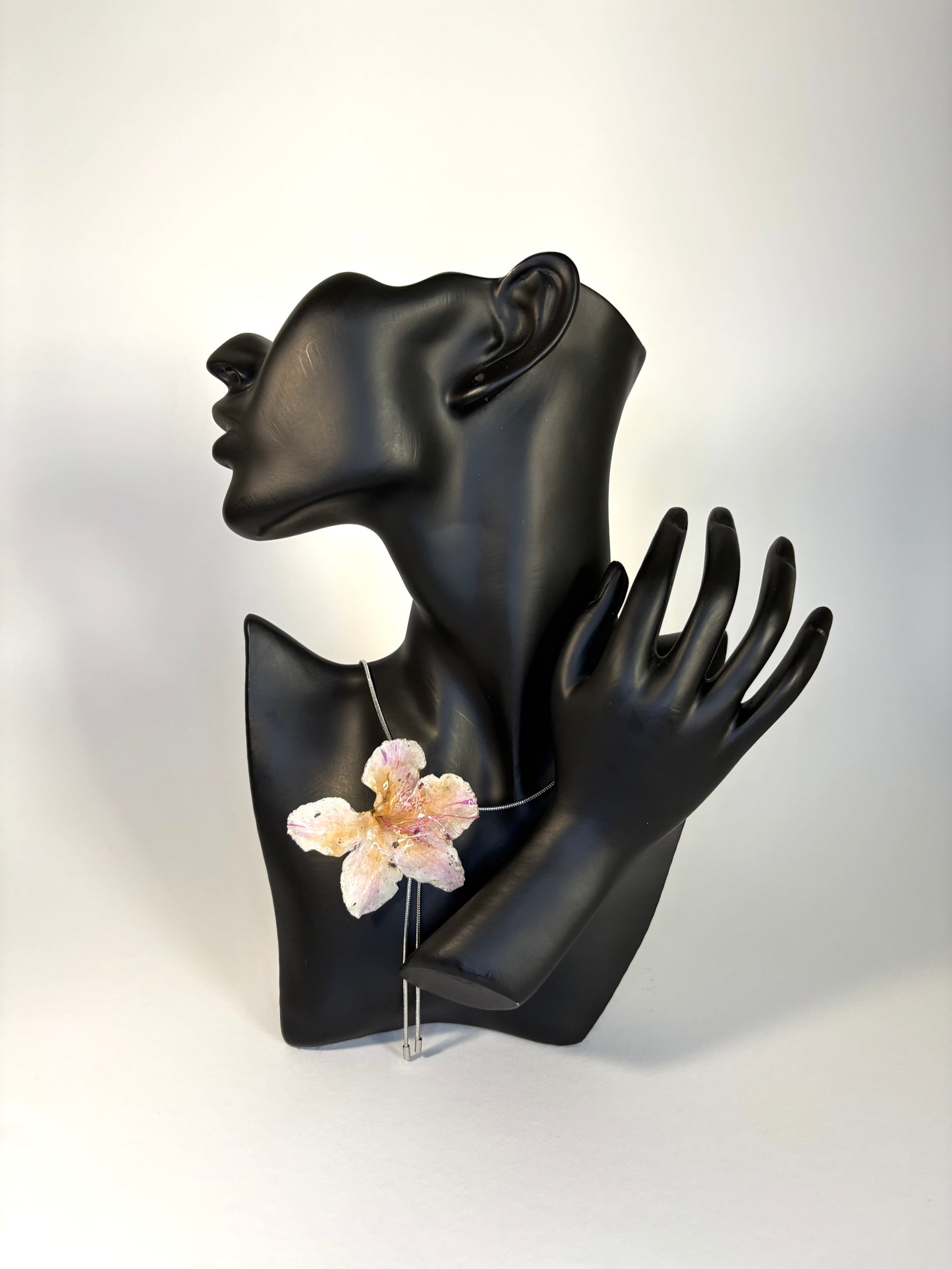 Sunkissed hibiscus