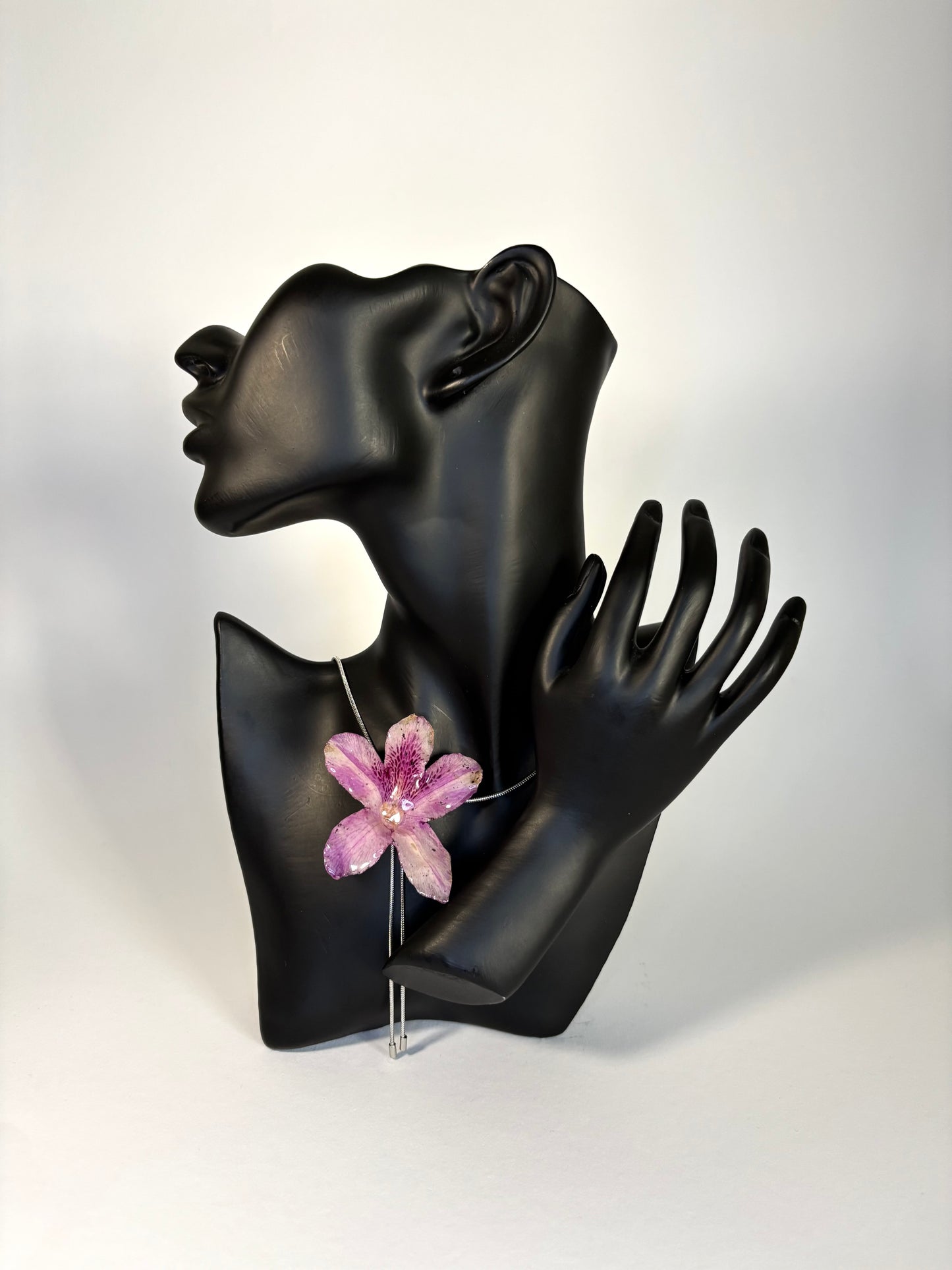 Hawaiian Hibiscus