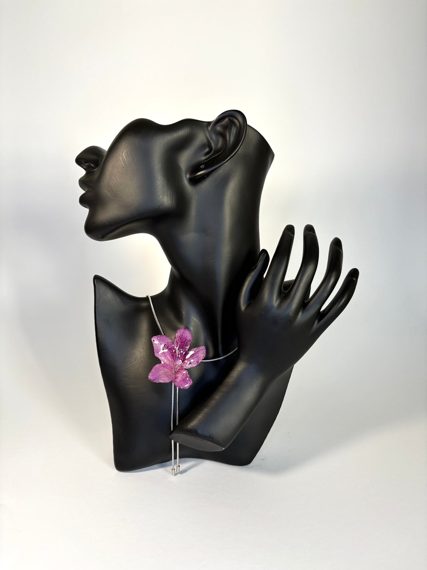 Dark purple Hibiscus