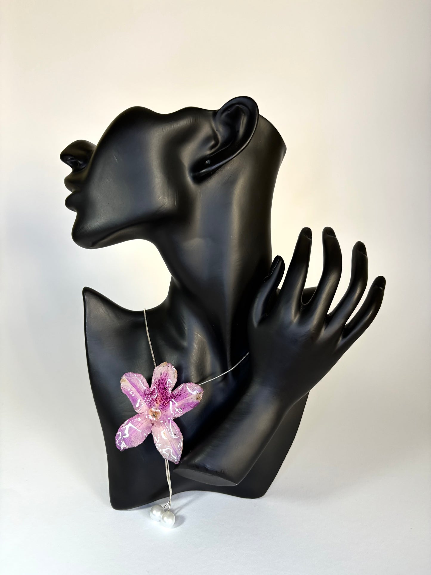Hawaiian Hibiscus