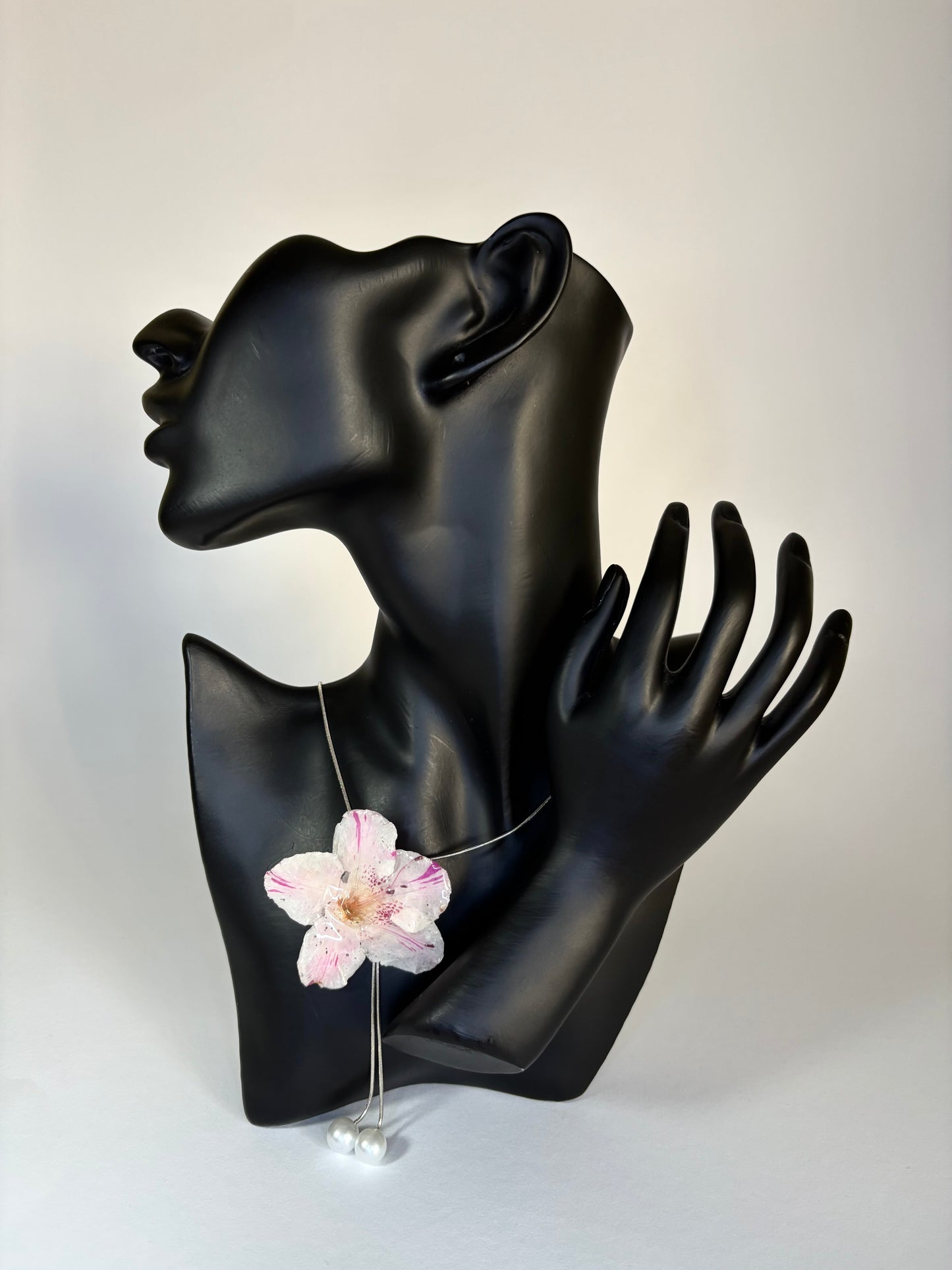 Pink hibiscus