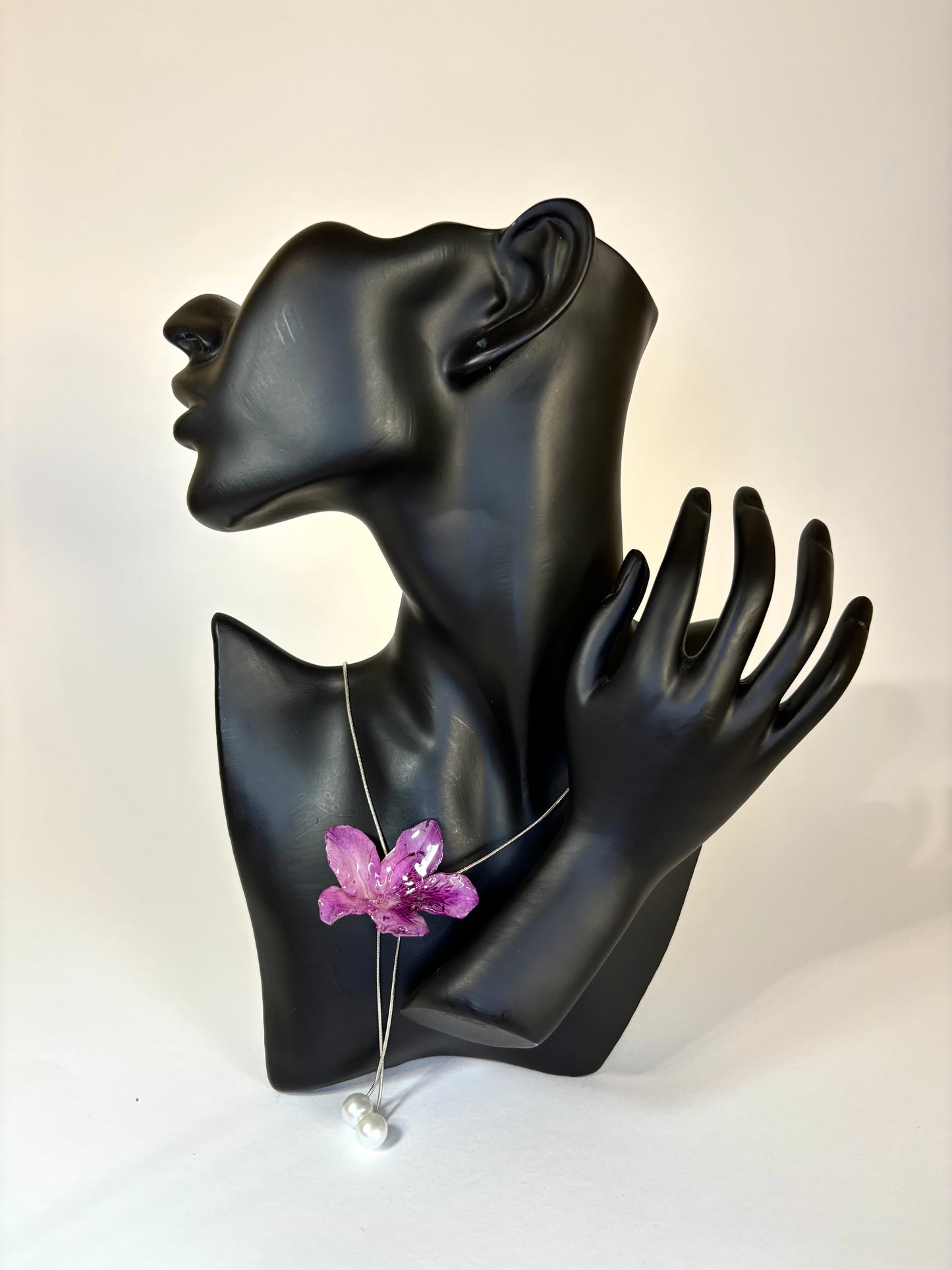 Dark purple Hibiscus