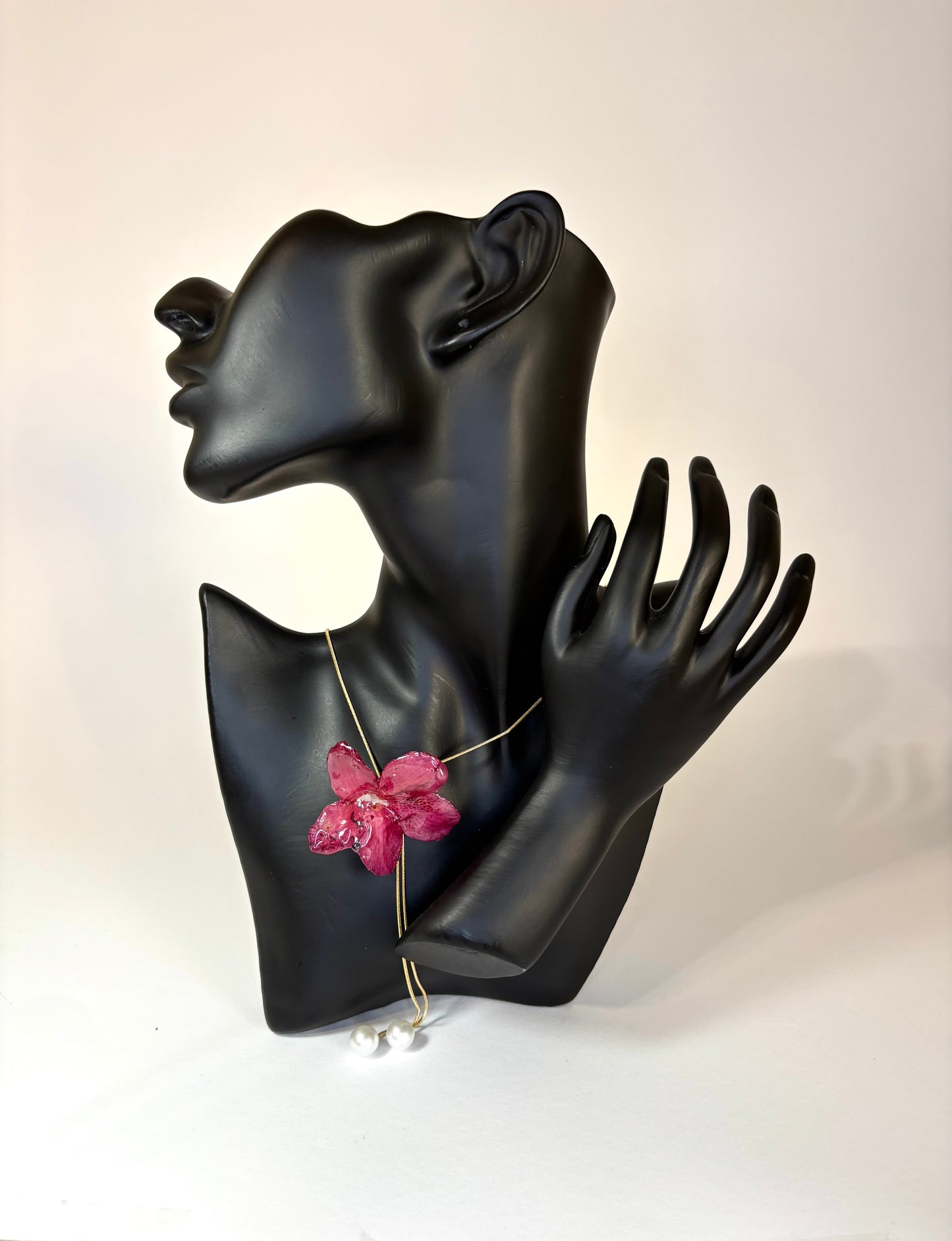 Dark red Hibiscus
